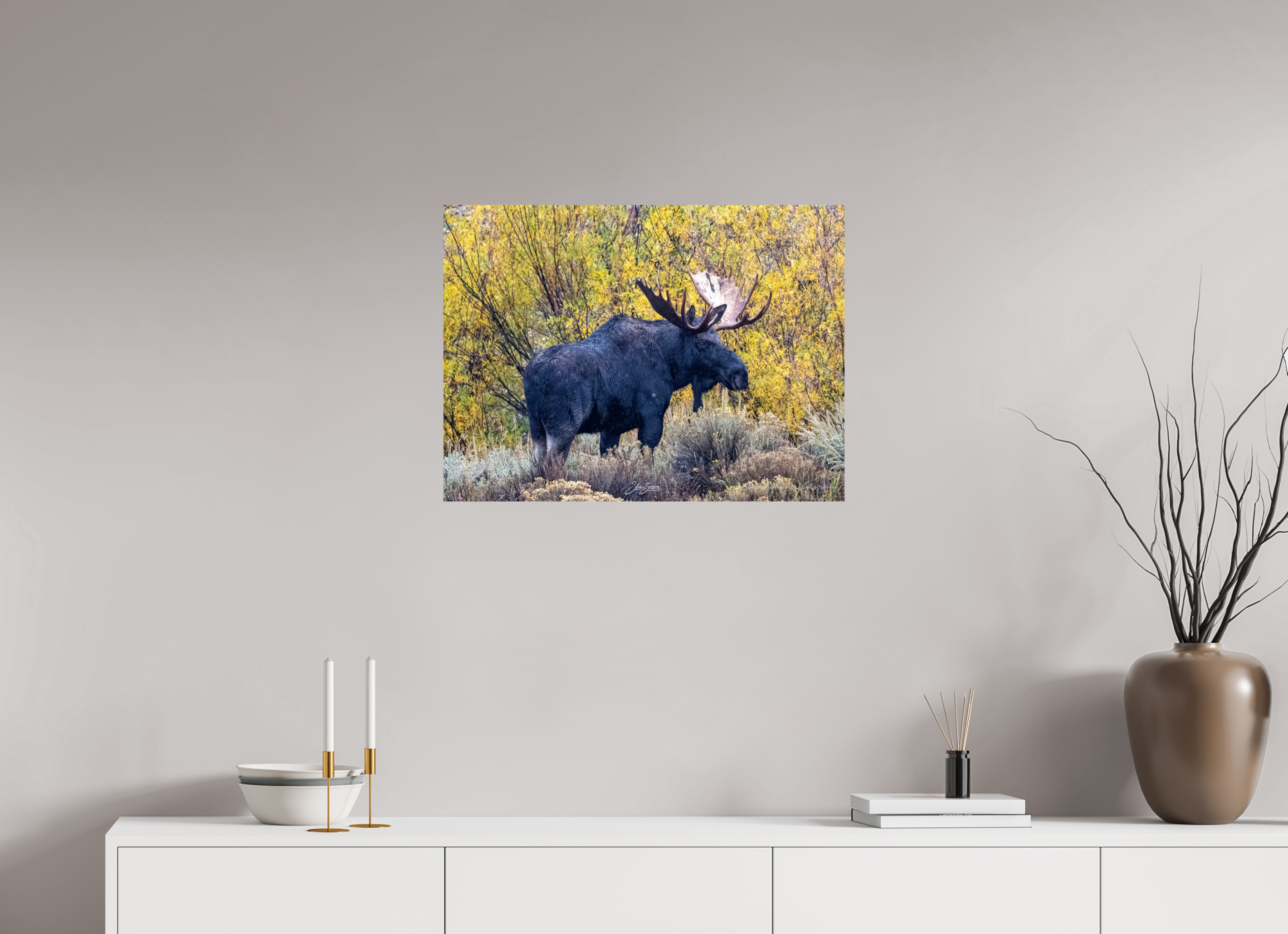 27 x 20″, Metal Moose
