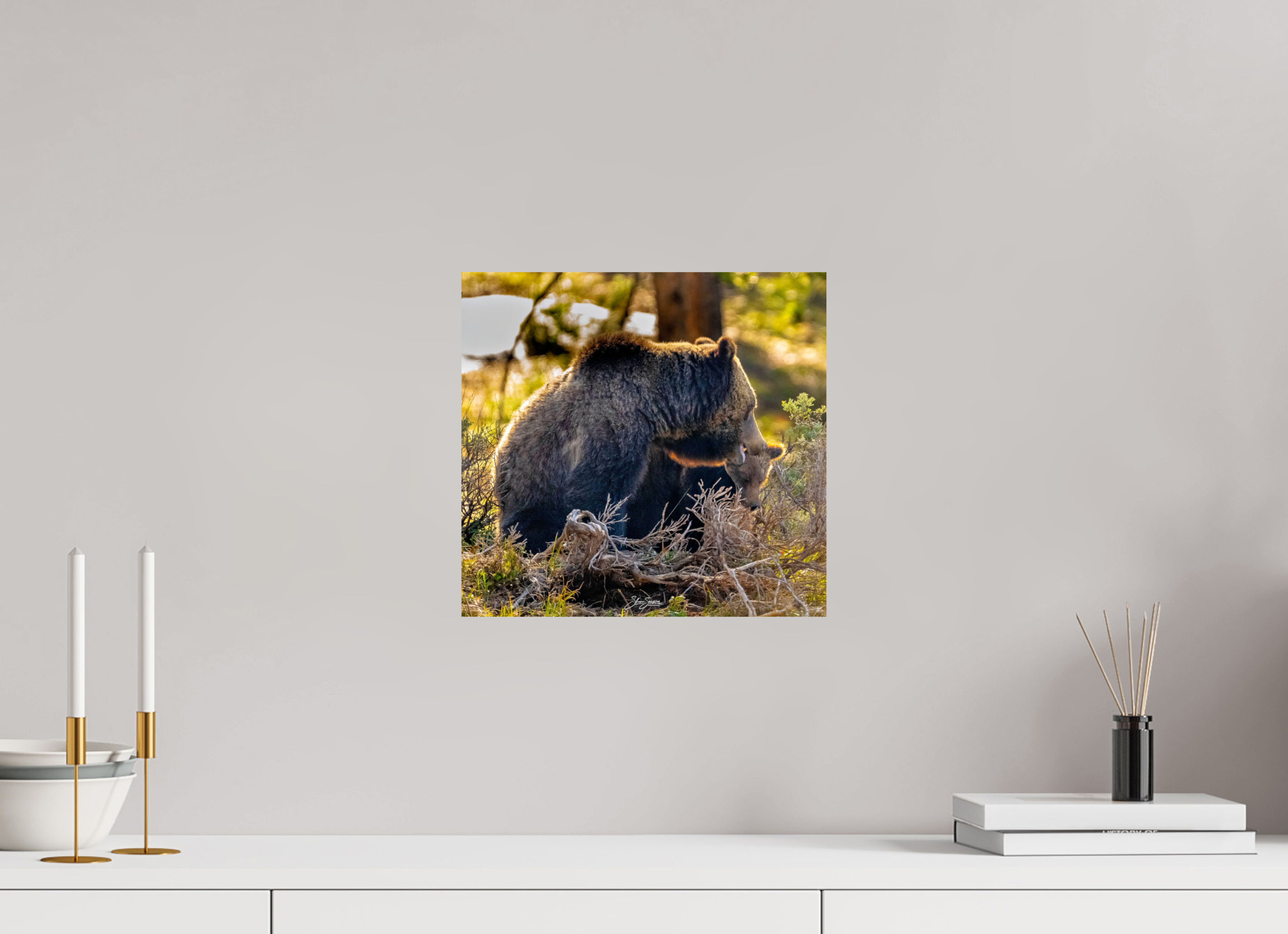 12.7 x 12″, Photo Print On Fuji Crystal DP II 1063 and cub