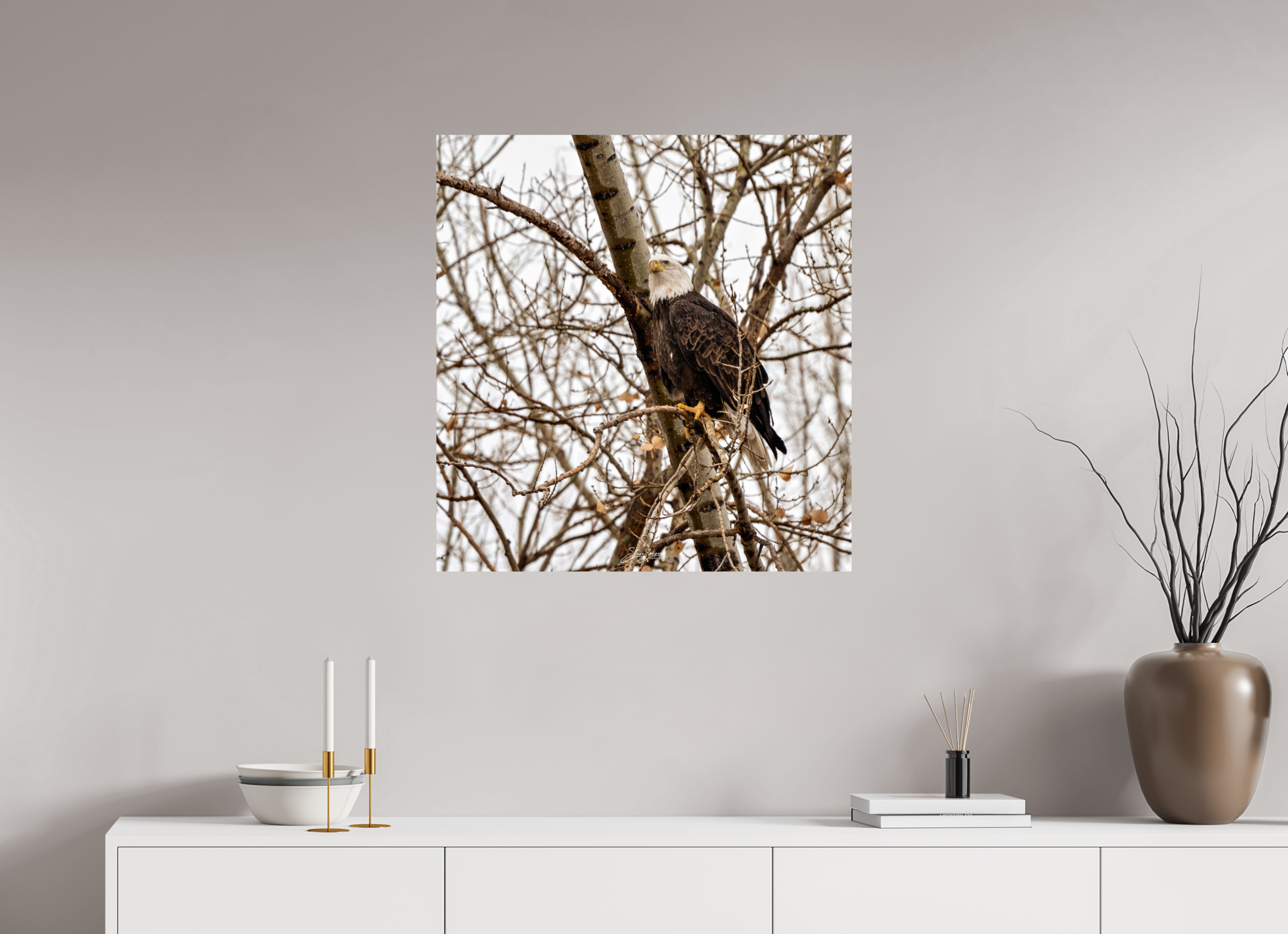 28 x 29.4″, Metal Eagle