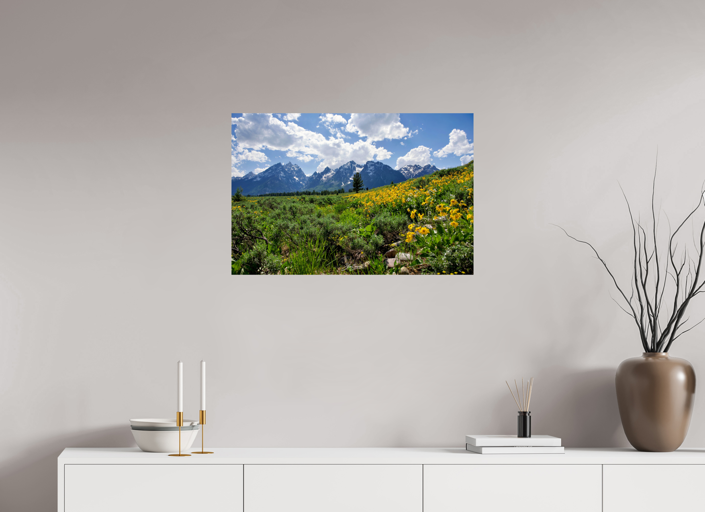 30 x 20″, Photo Print On Fuji Crystal DP II Tetons in sunflowers