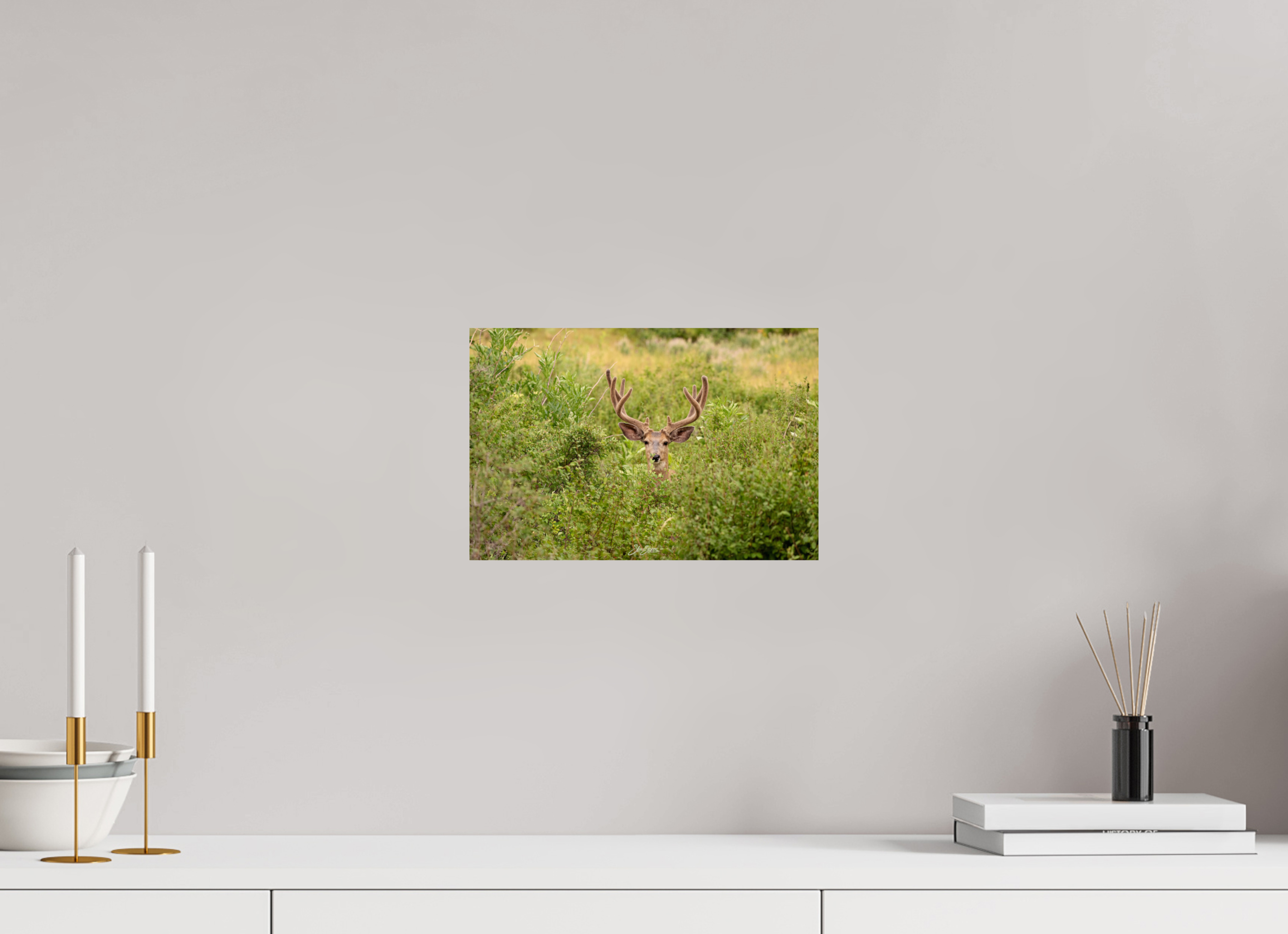 12 x 8″, Metal Deer