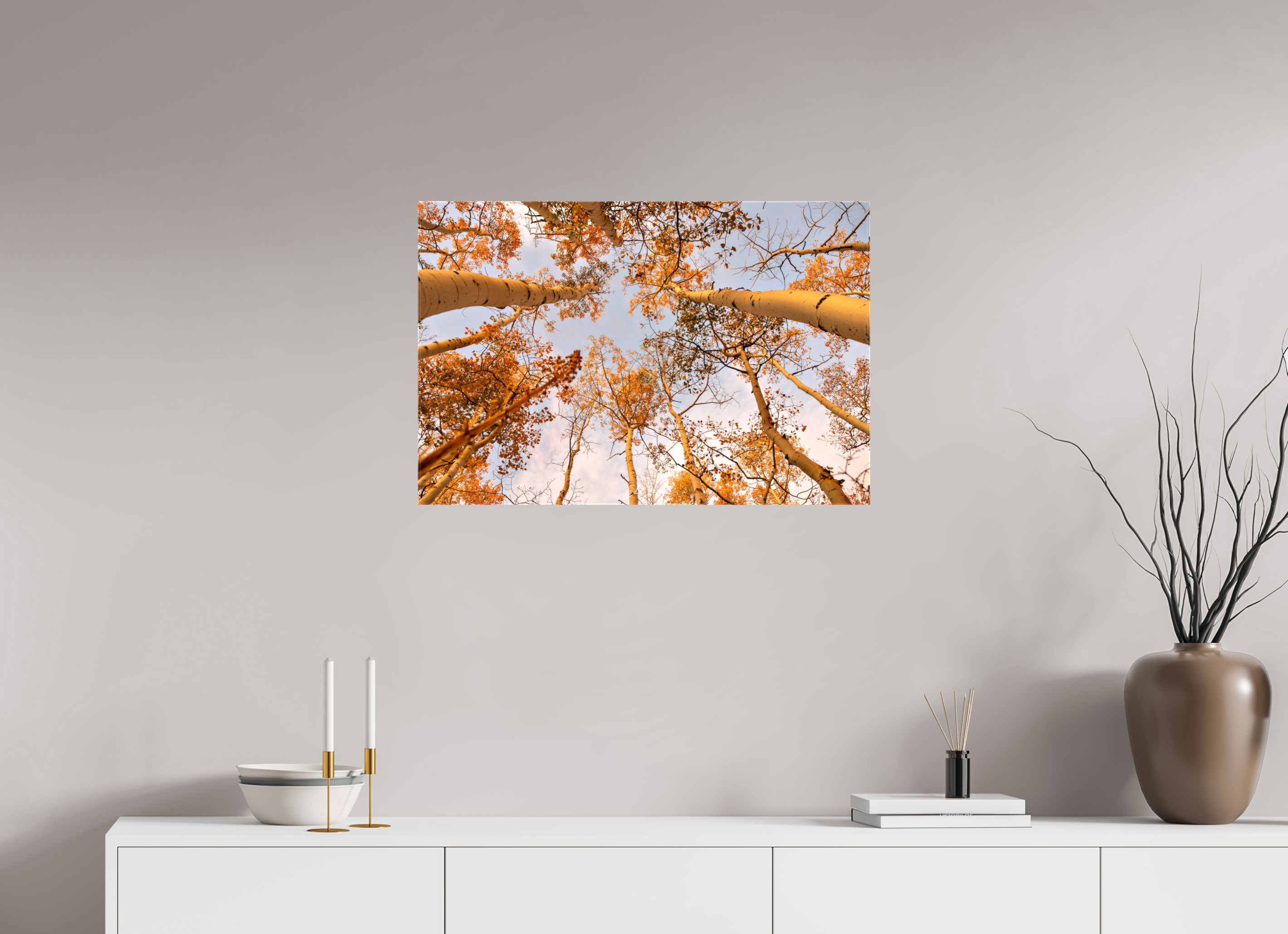 30 x 20″, Canvas aspen