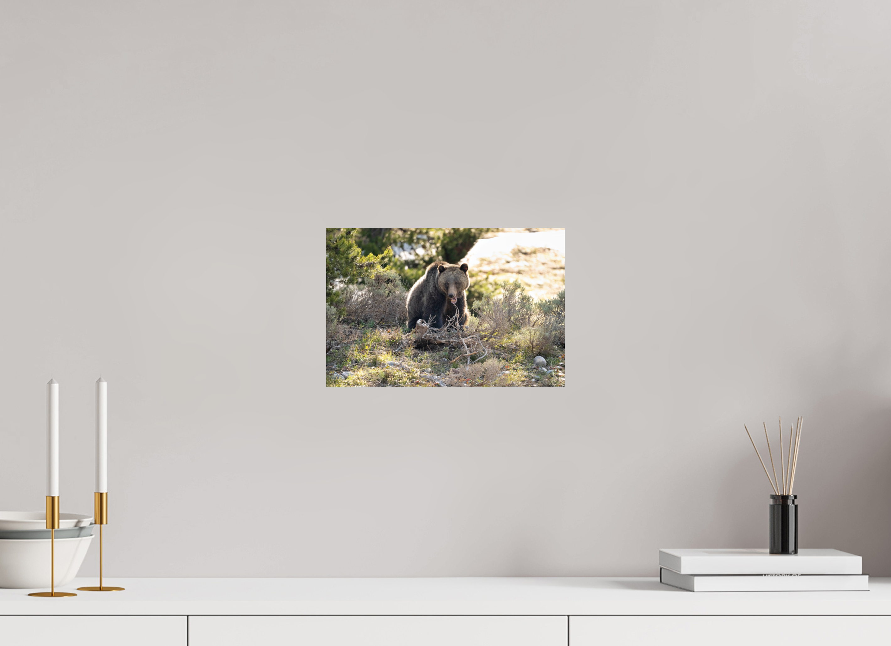 12 x 8″, Photo Print On Fuji Crystal DP II 1063