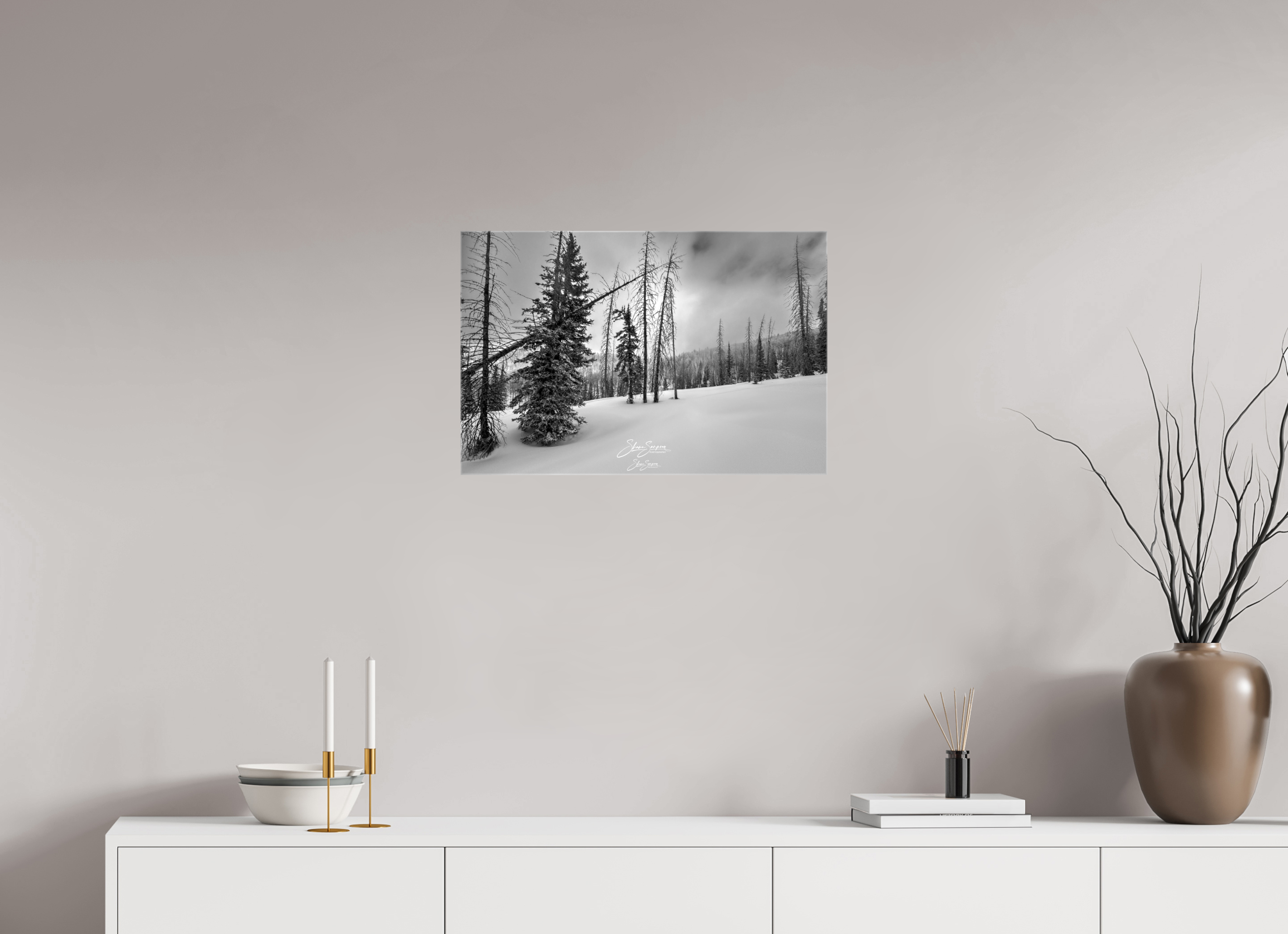 24.3 x 16″, Canvas winter bw