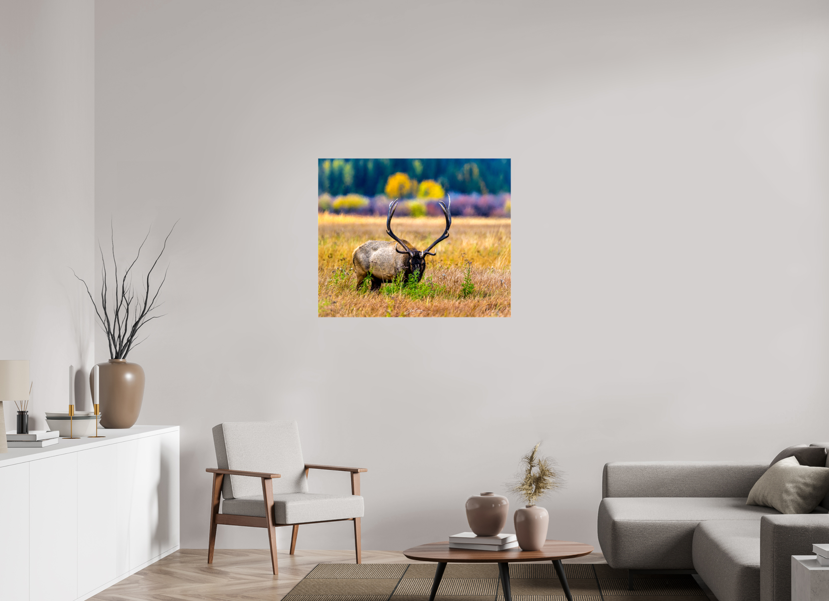 37.7 x 31″, Canvas Elk