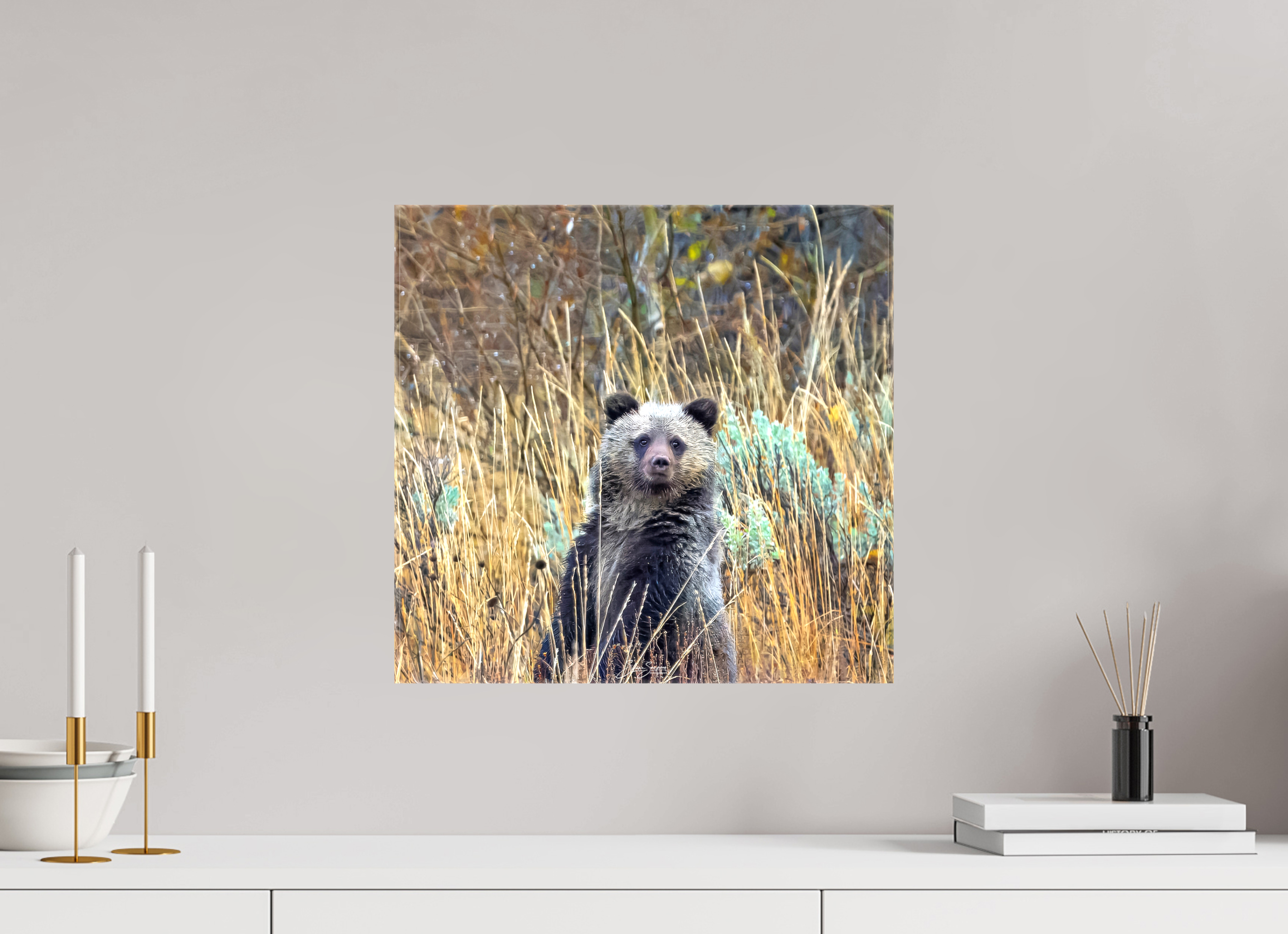 16.7 x 16″, Canvas Cube looking for mom