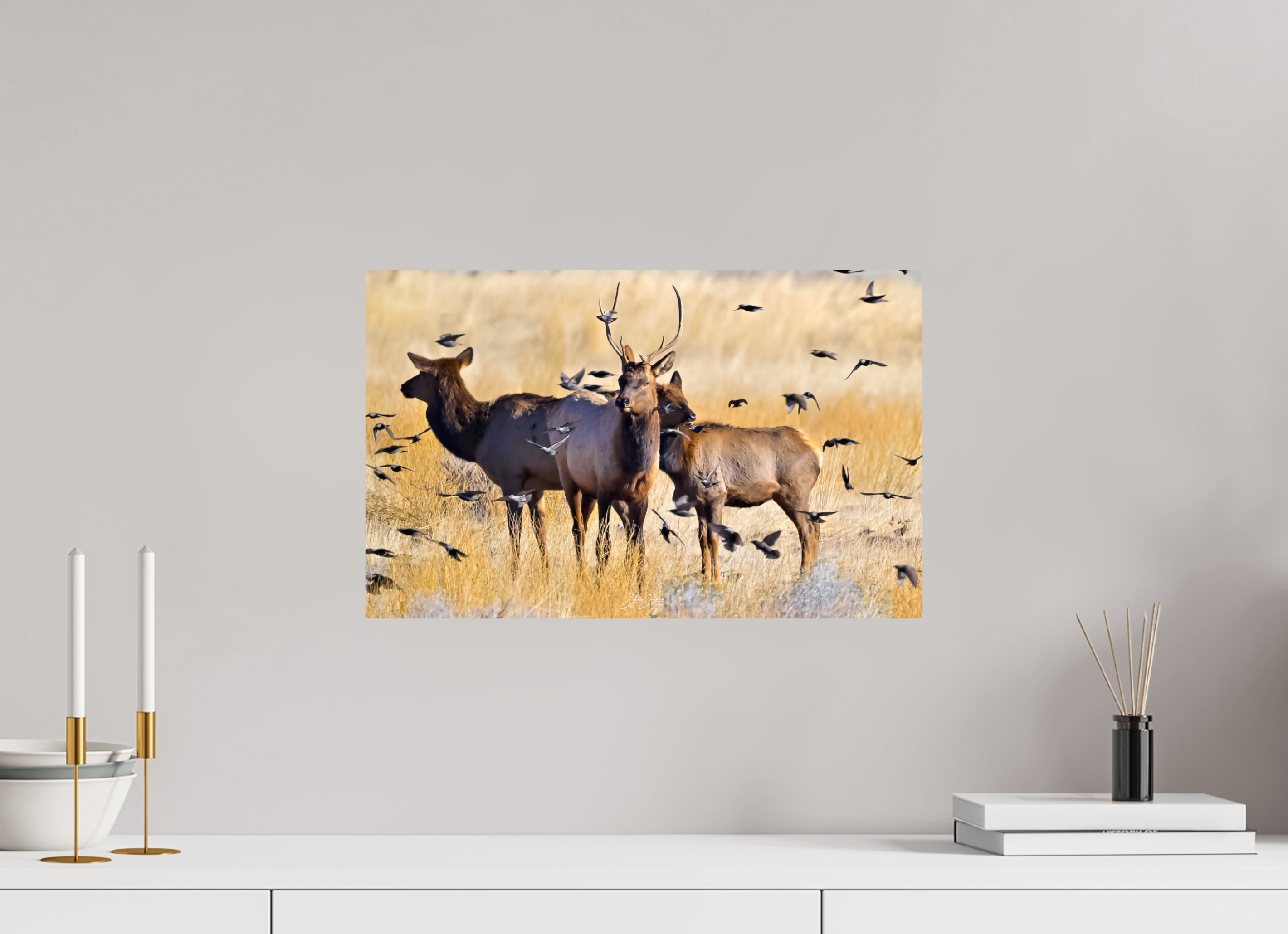 19.2 x 12″, Metal Elk Birds