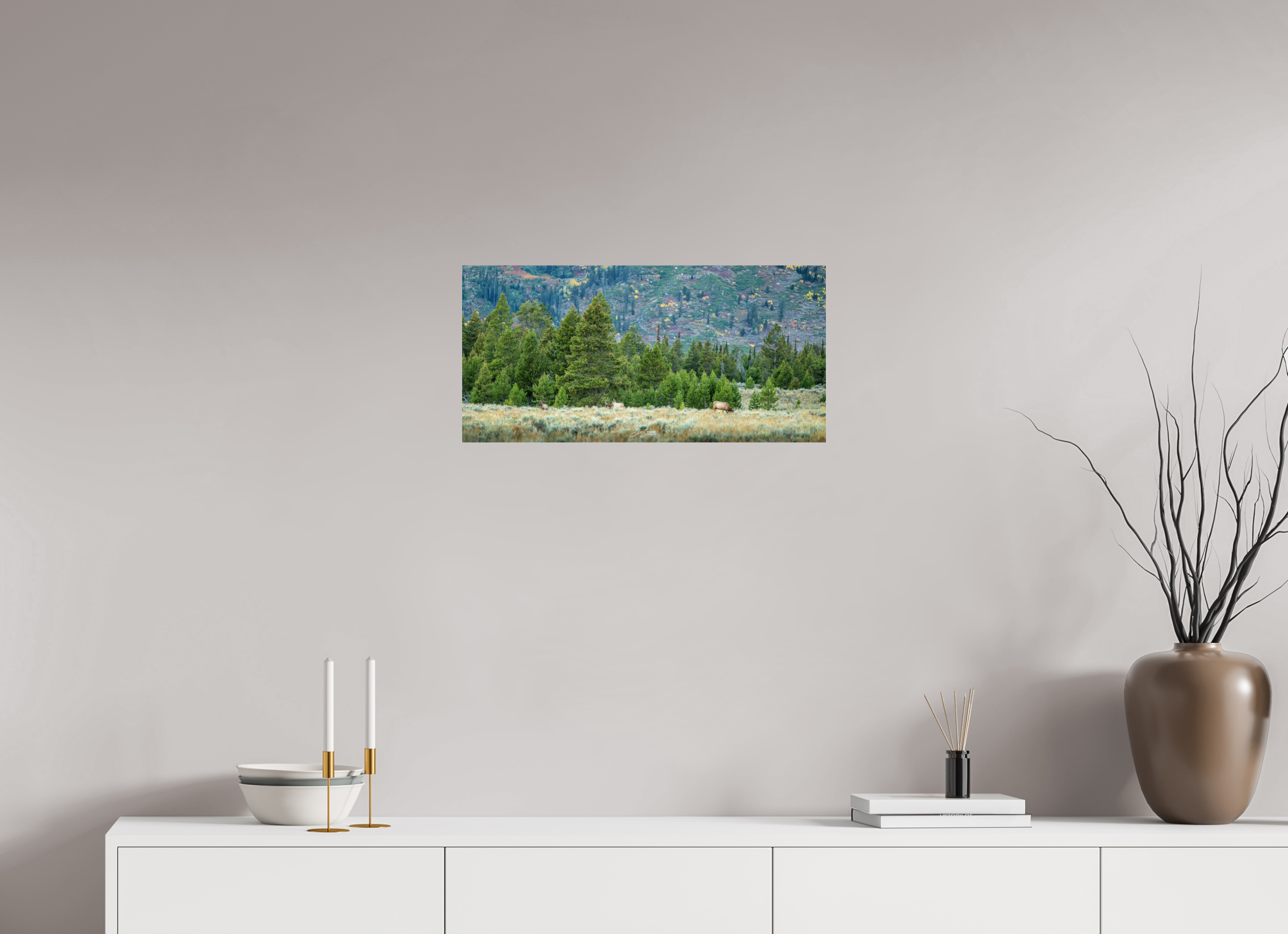 24.7 x 12″, Photo Print On Fuji Crystal DP II A12