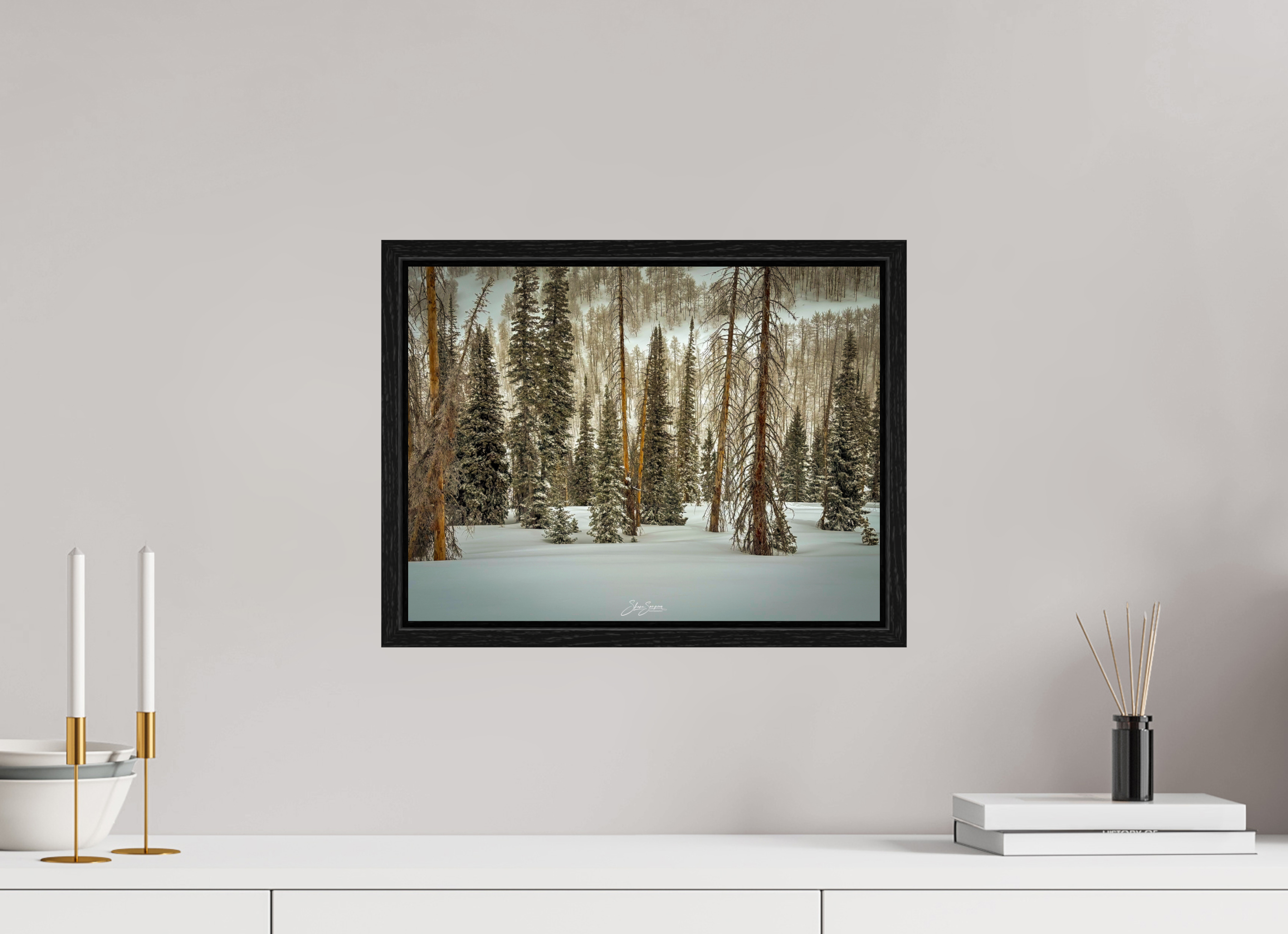 16 x 12″, Floater Frame Winter in the pine