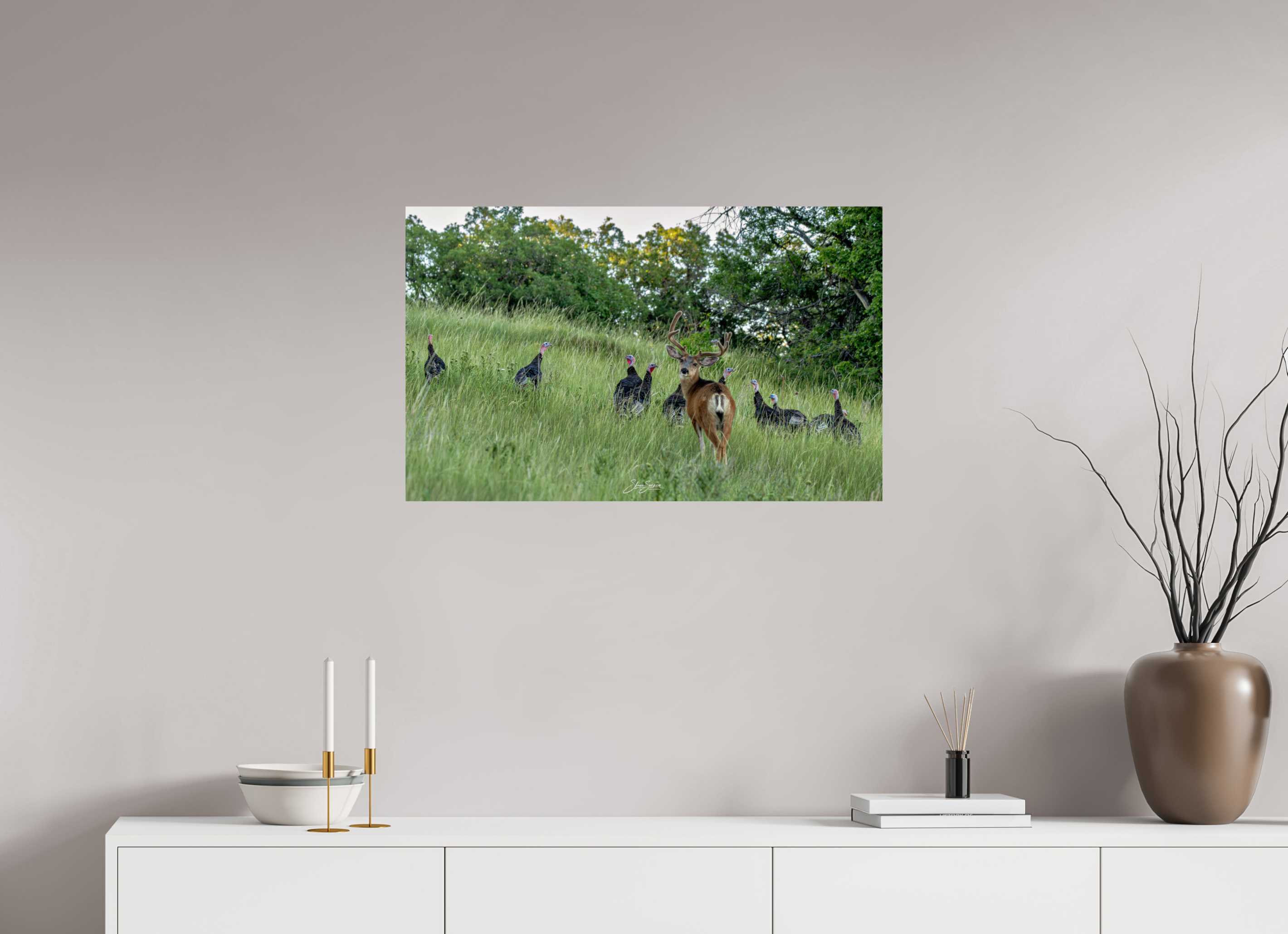 32.4 x 20″, Photo Print On Fuji Crystal DP II Deer Turky 3
