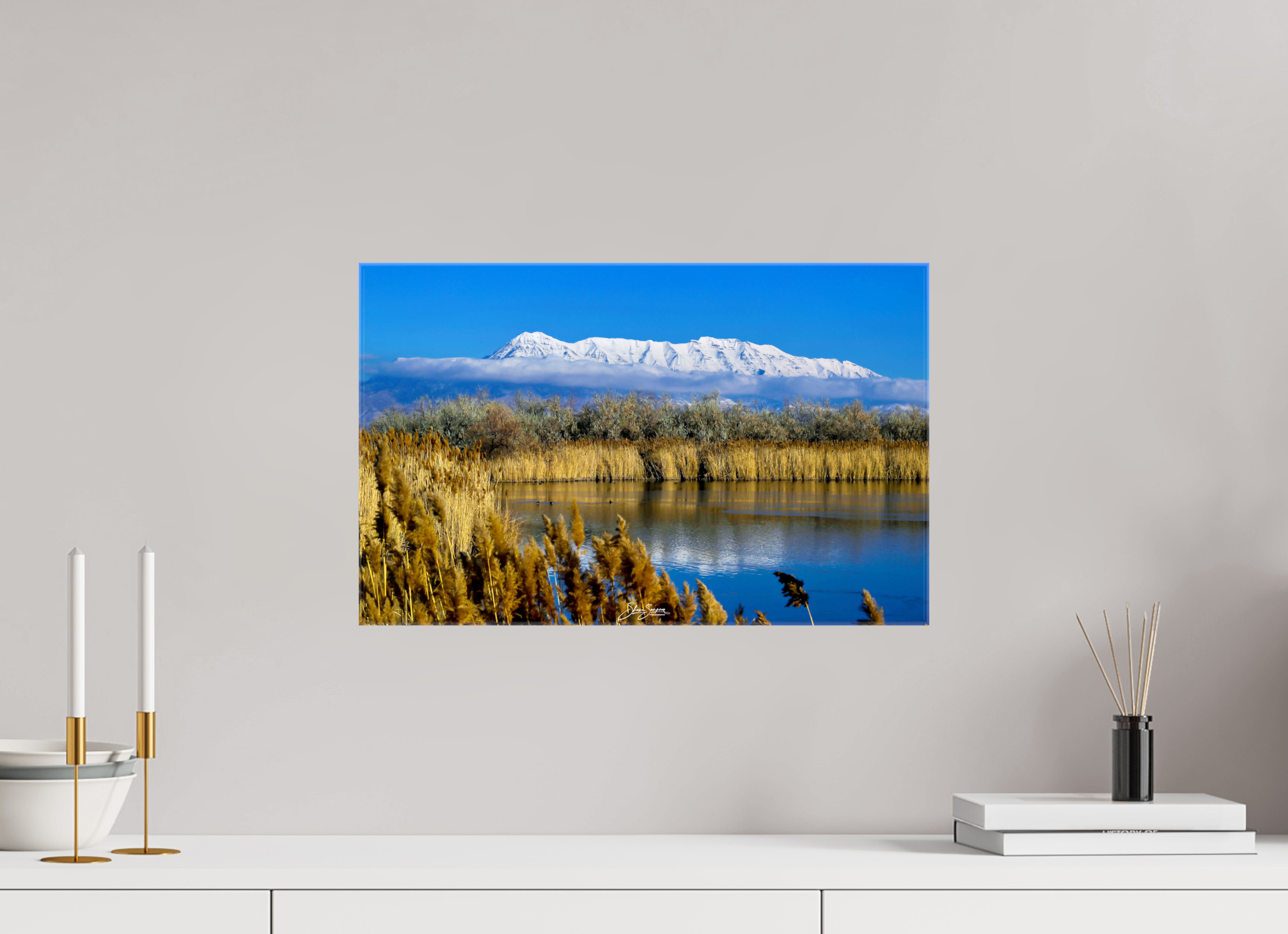 19.1 x 12″, Canvas Timp