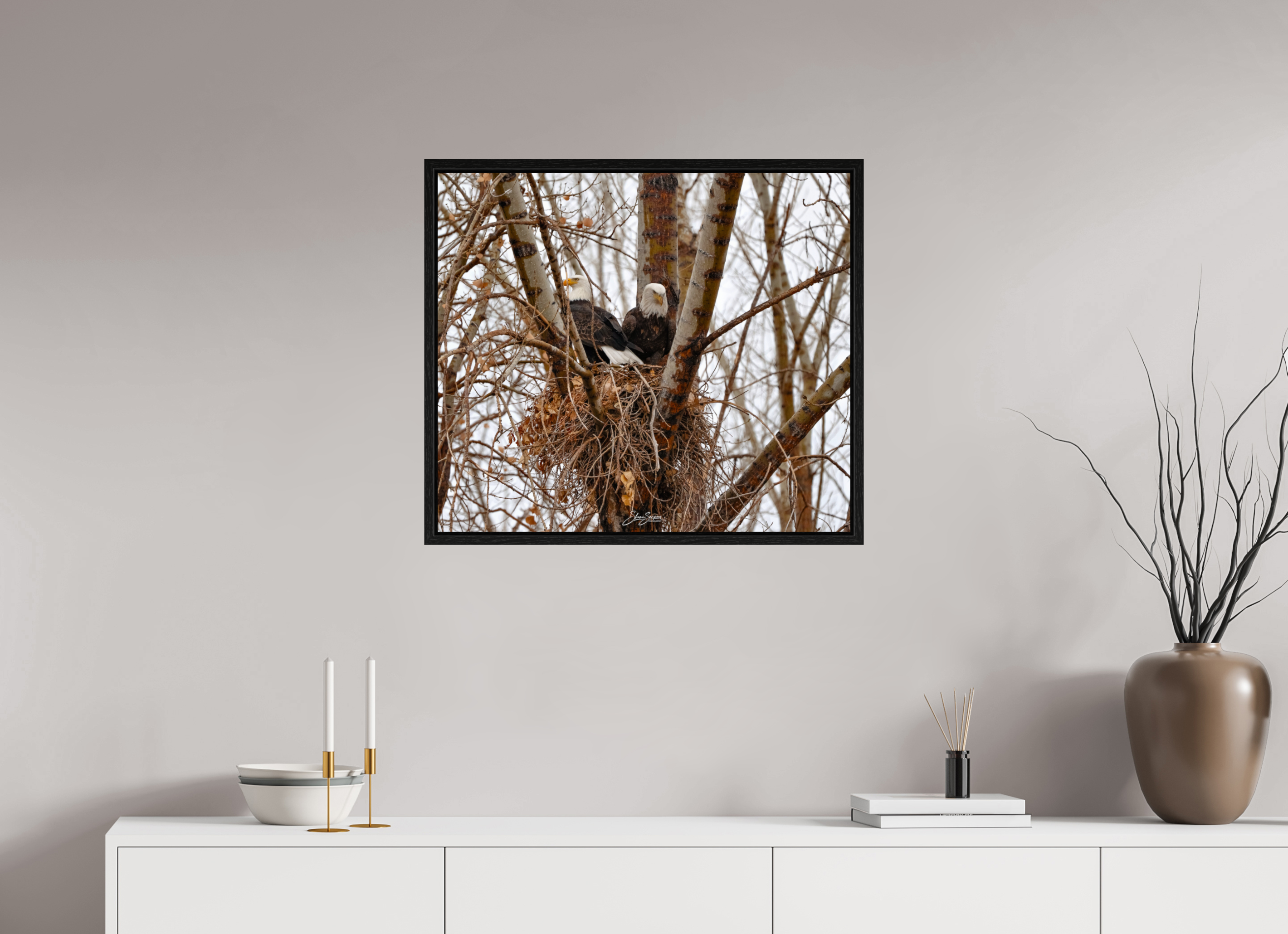 27.6 x 24″, Floater Frame Eagles in the nest
