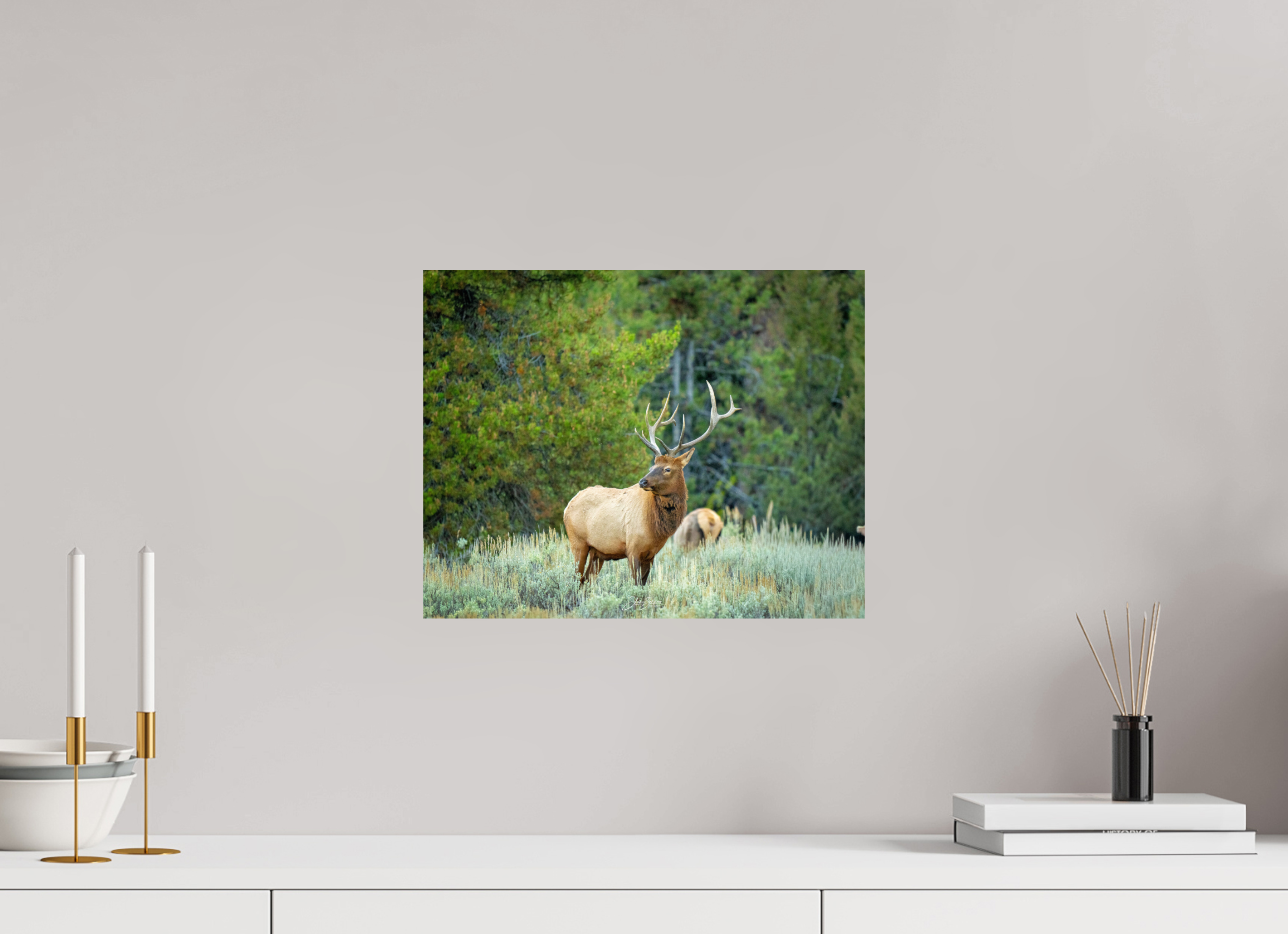 15.2 x 12″, Metal Elk