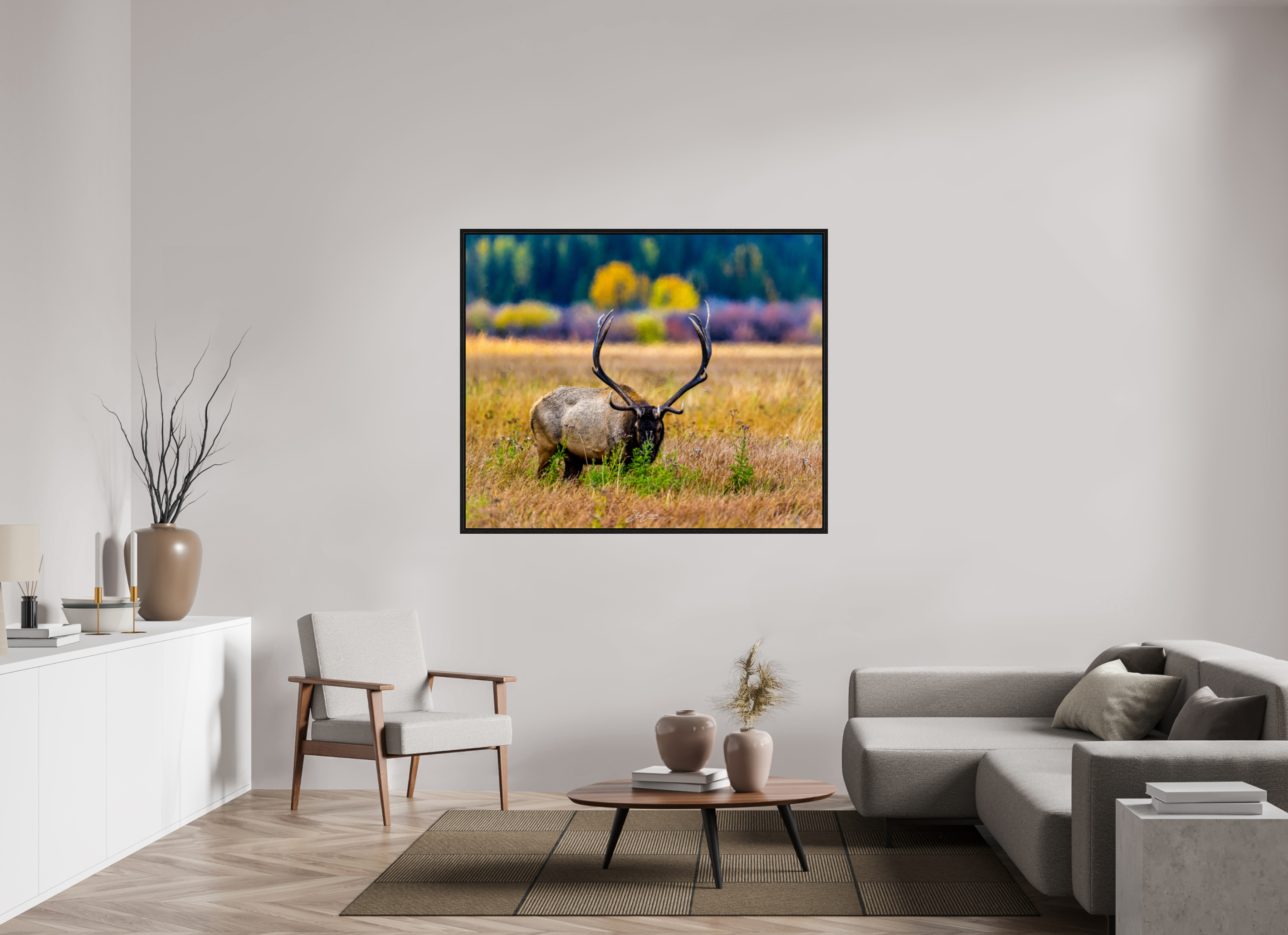 57.1 x 47″, Floater Frame Elk