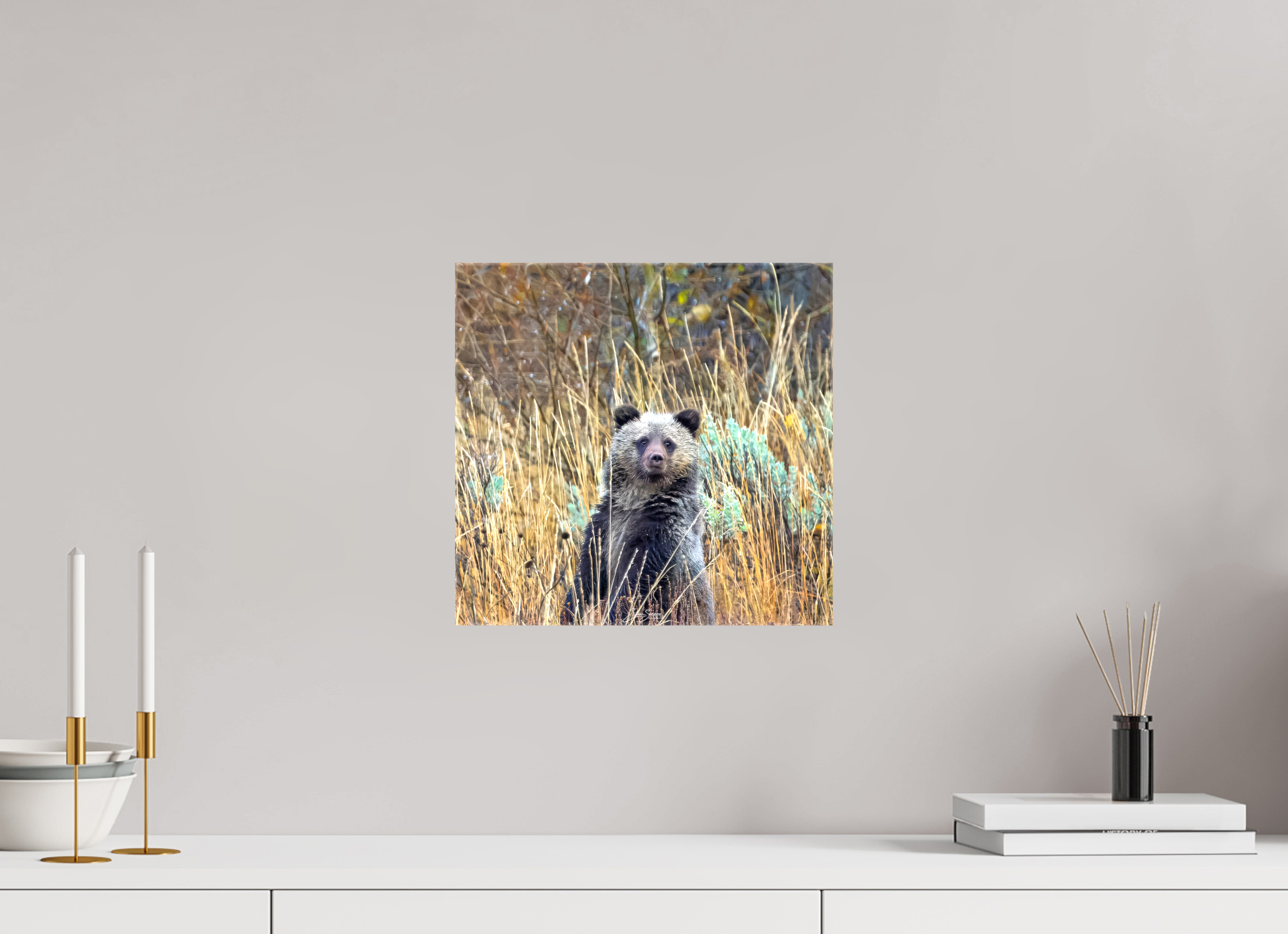 12.5 x 12″, Canvas Cube looking for mom