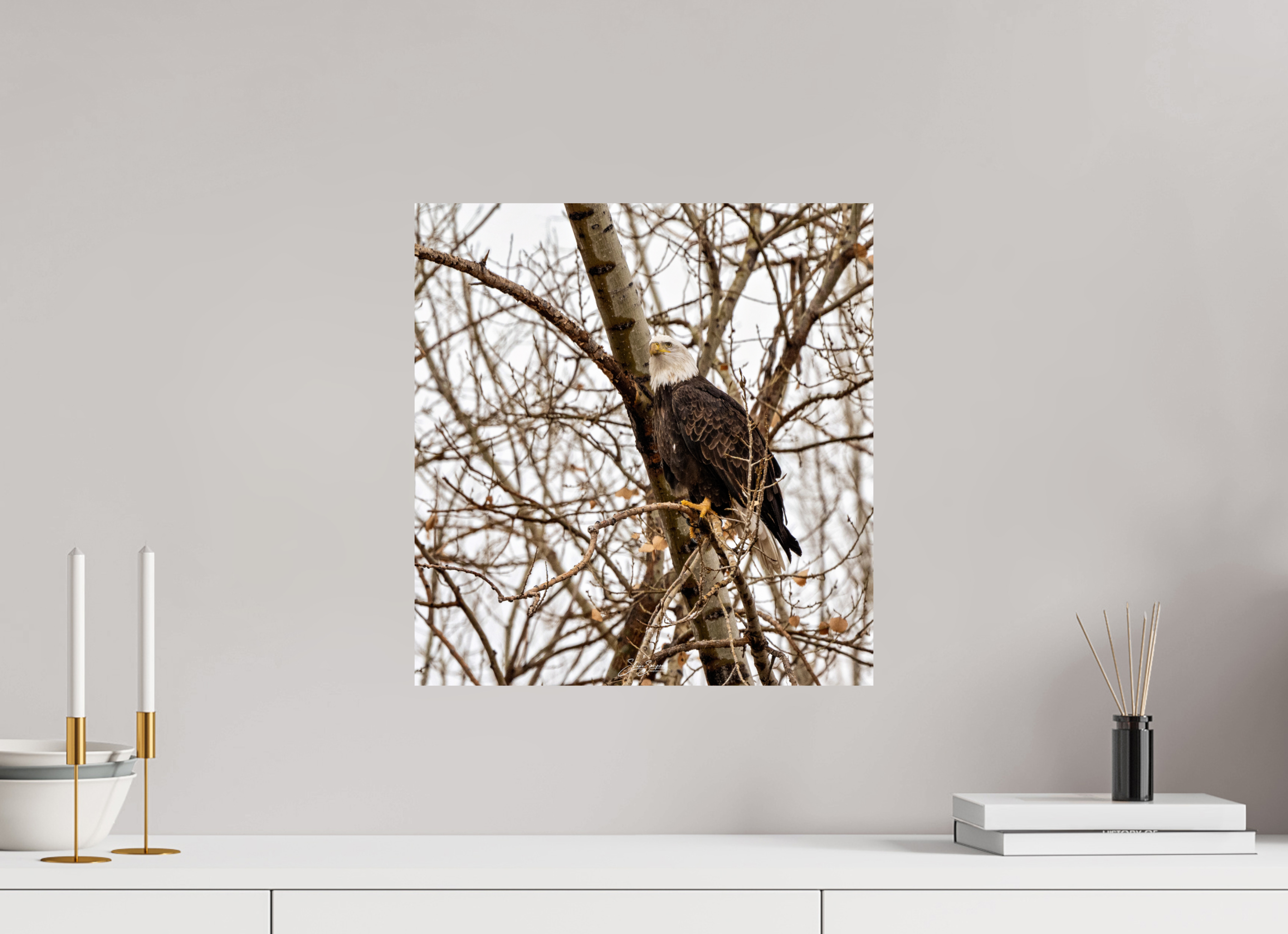 16 x 16.8″, Photo Print On Fuji Crystal DP II Eagle