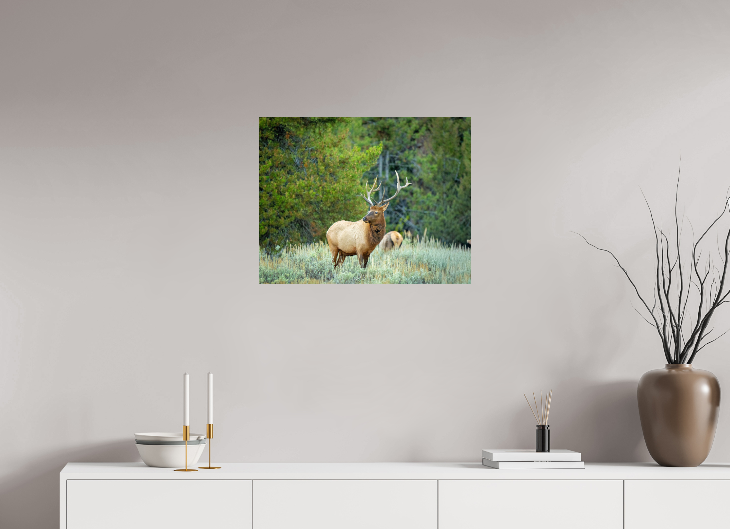 25.3 x 20″, Photo Print On Fuji Crystal DP II Elk