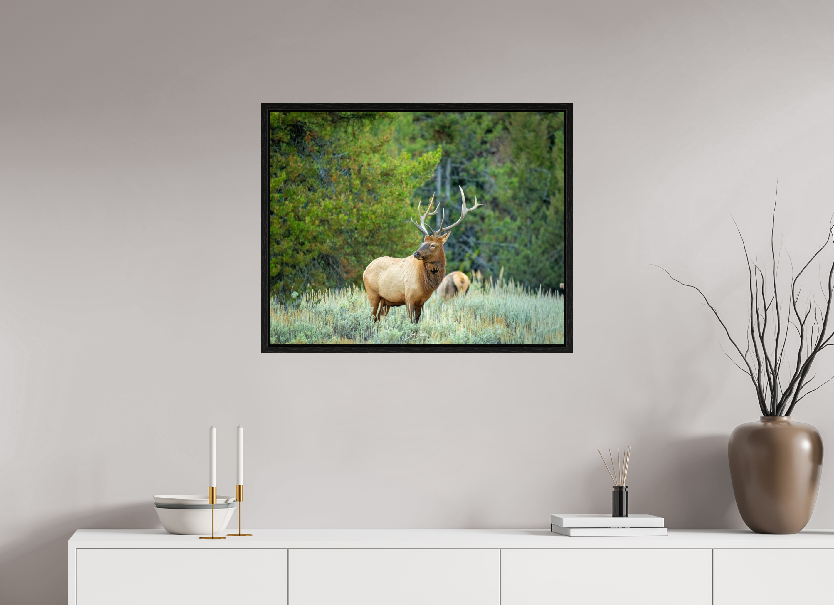 30.4 x 24″, Floater Frame Elk