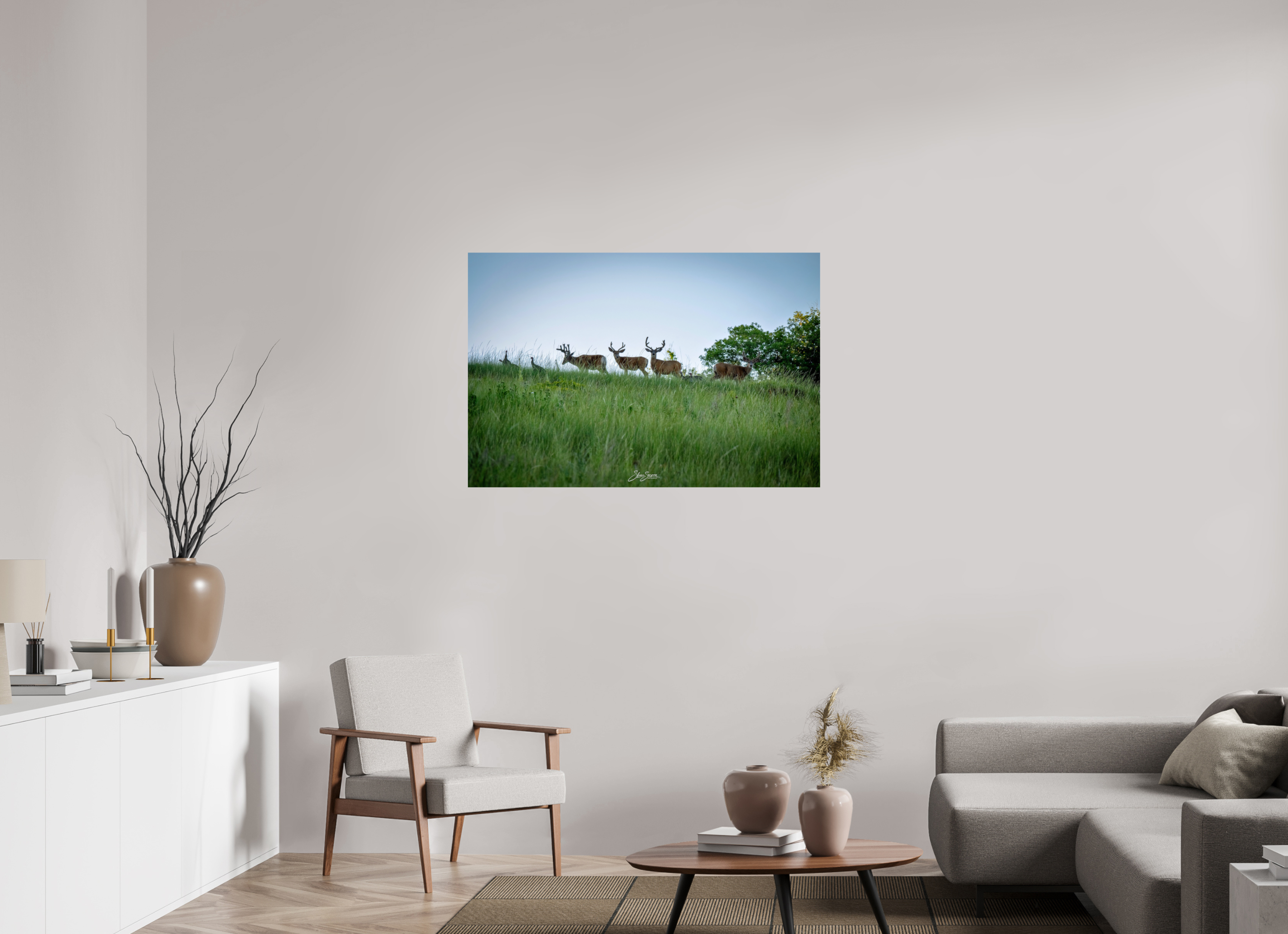 45 x 30″, Photo Print On Fuji Crystal DP II Deer