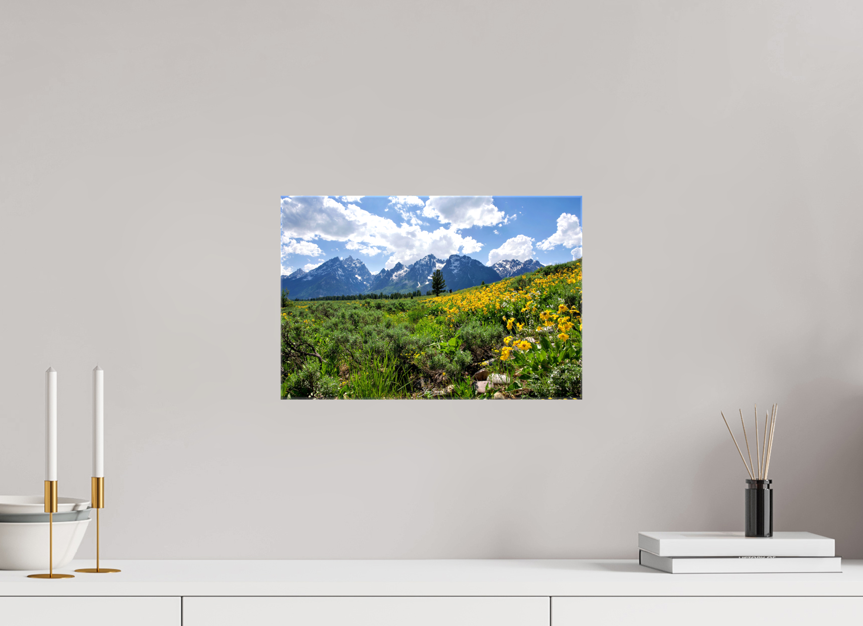 15 x 10″, Canvas Tetons in sunflowers