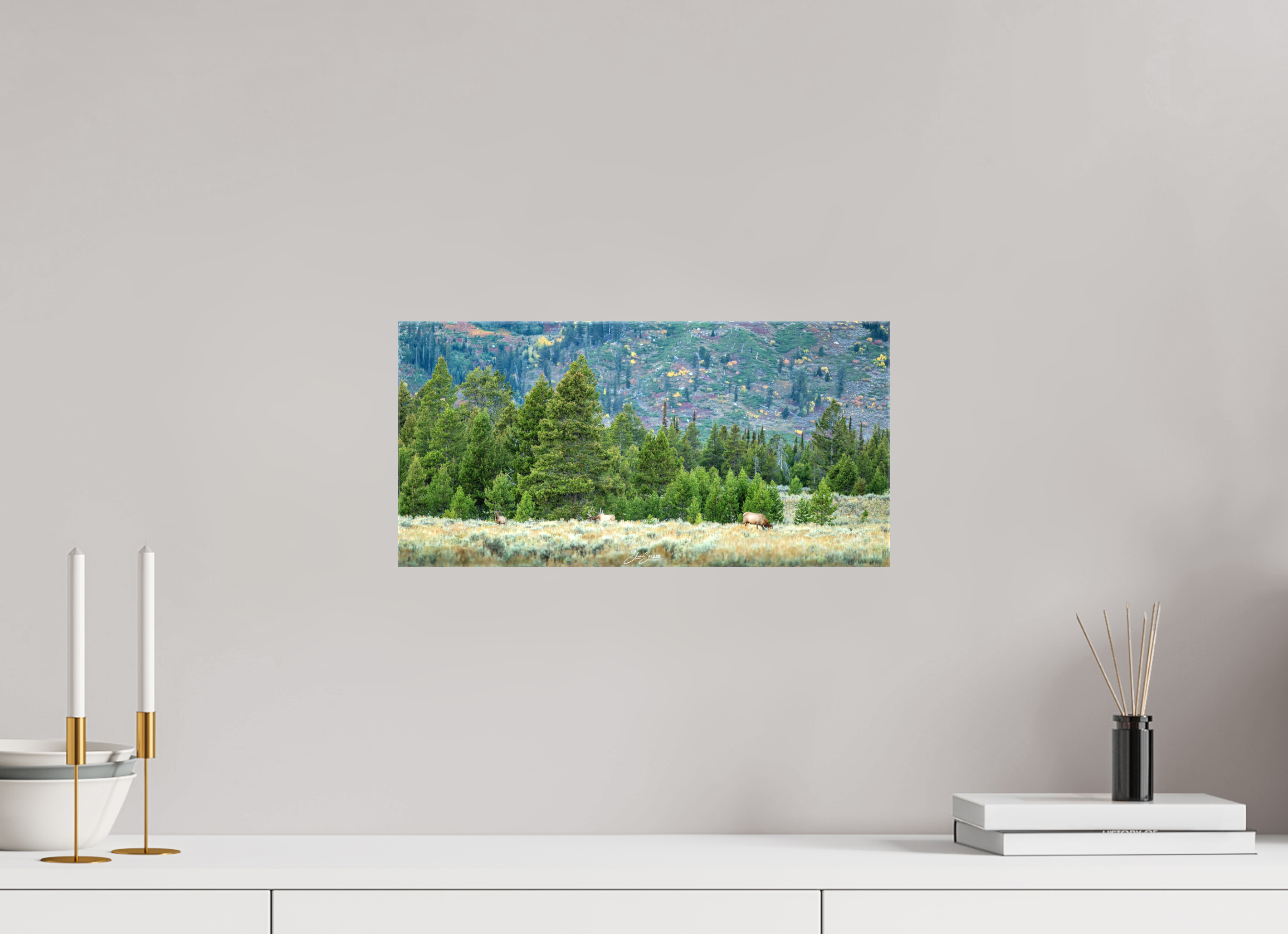 16.5 x 8″, Canvas A12