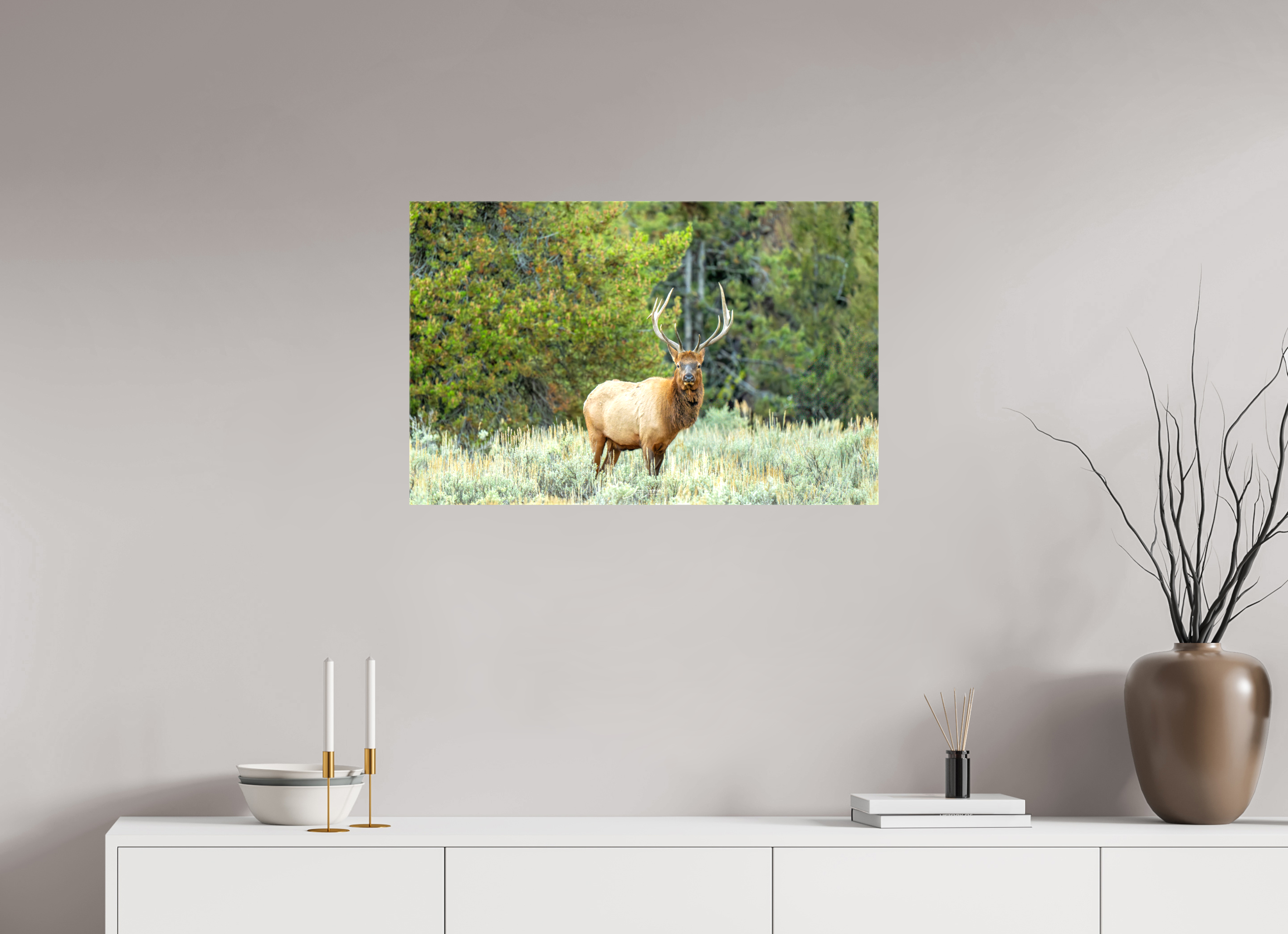 31.1 x 20″, Canvas Elk