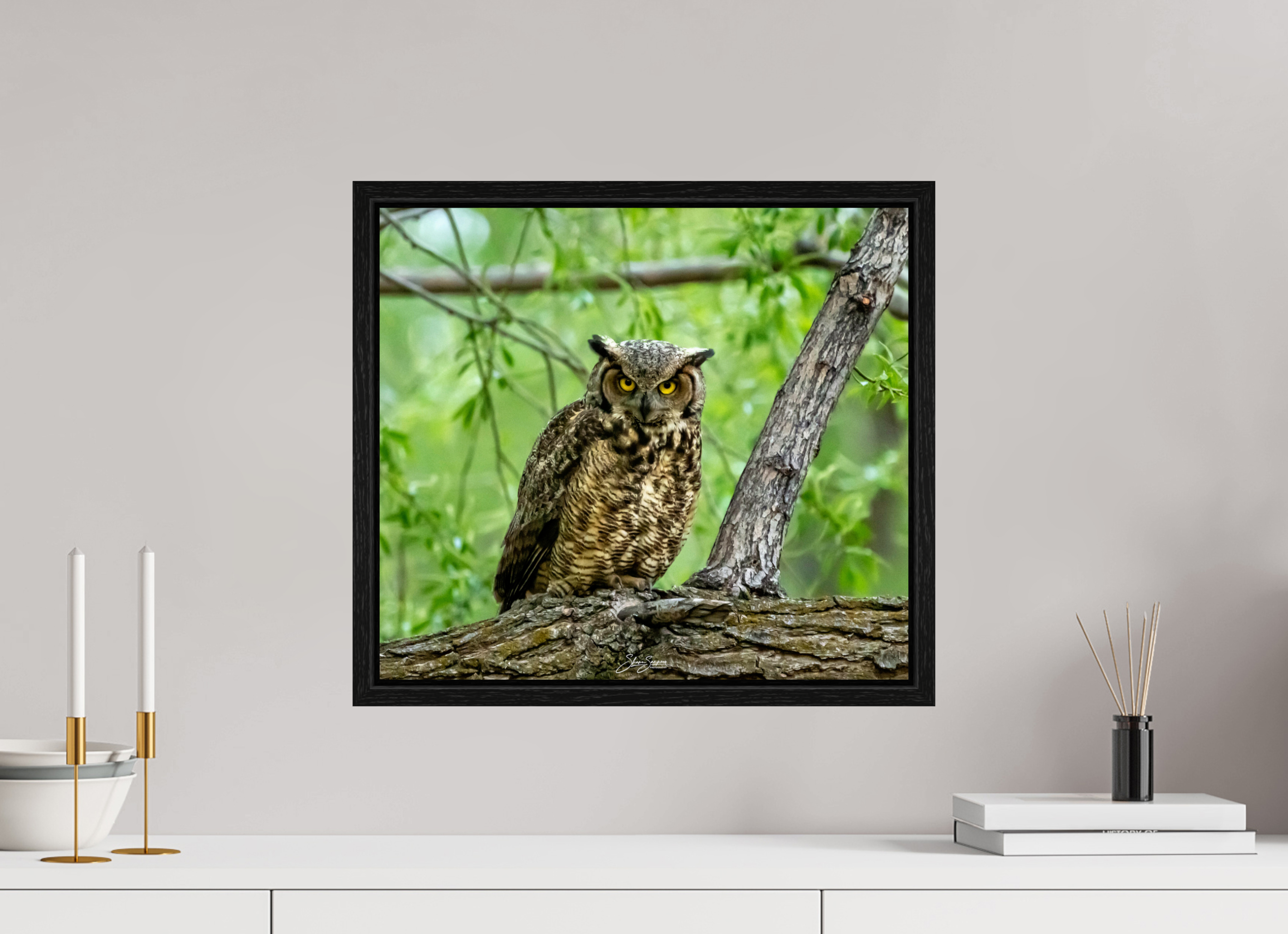 17.9 x 16″, Floater Frame Owel