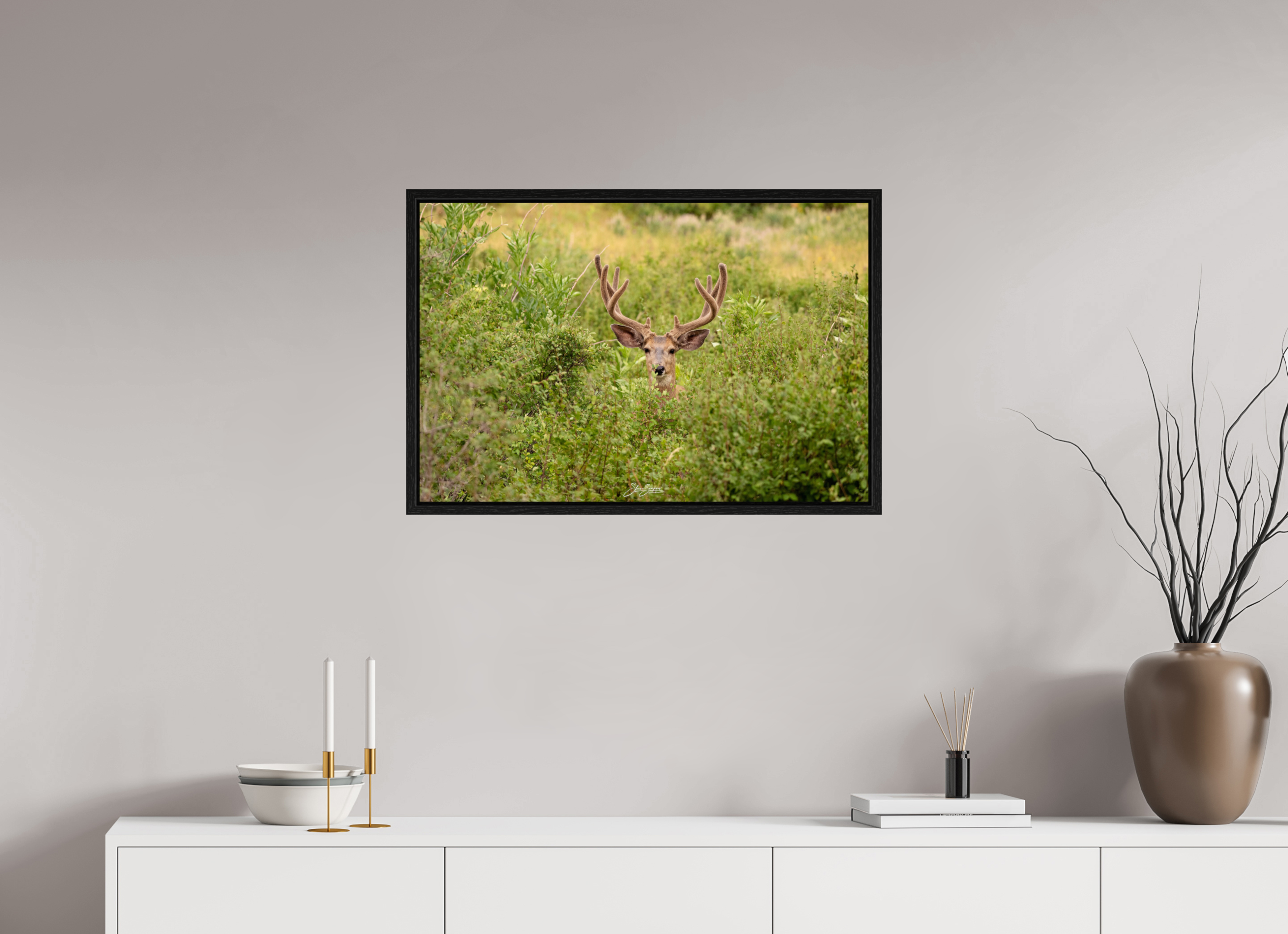 30 x 20″, Floater Frame Deer