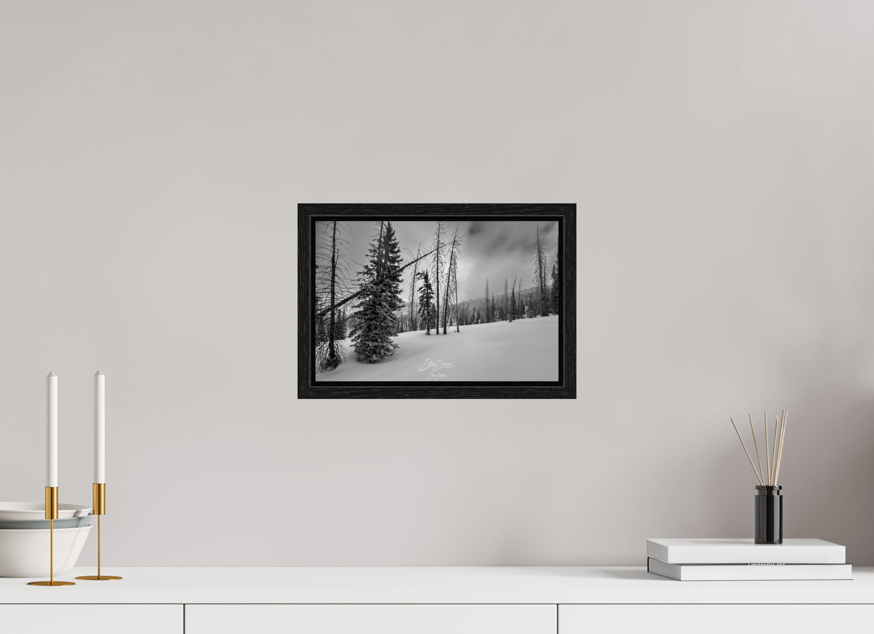 12.1 x 8″, Floater Frame winter bw
