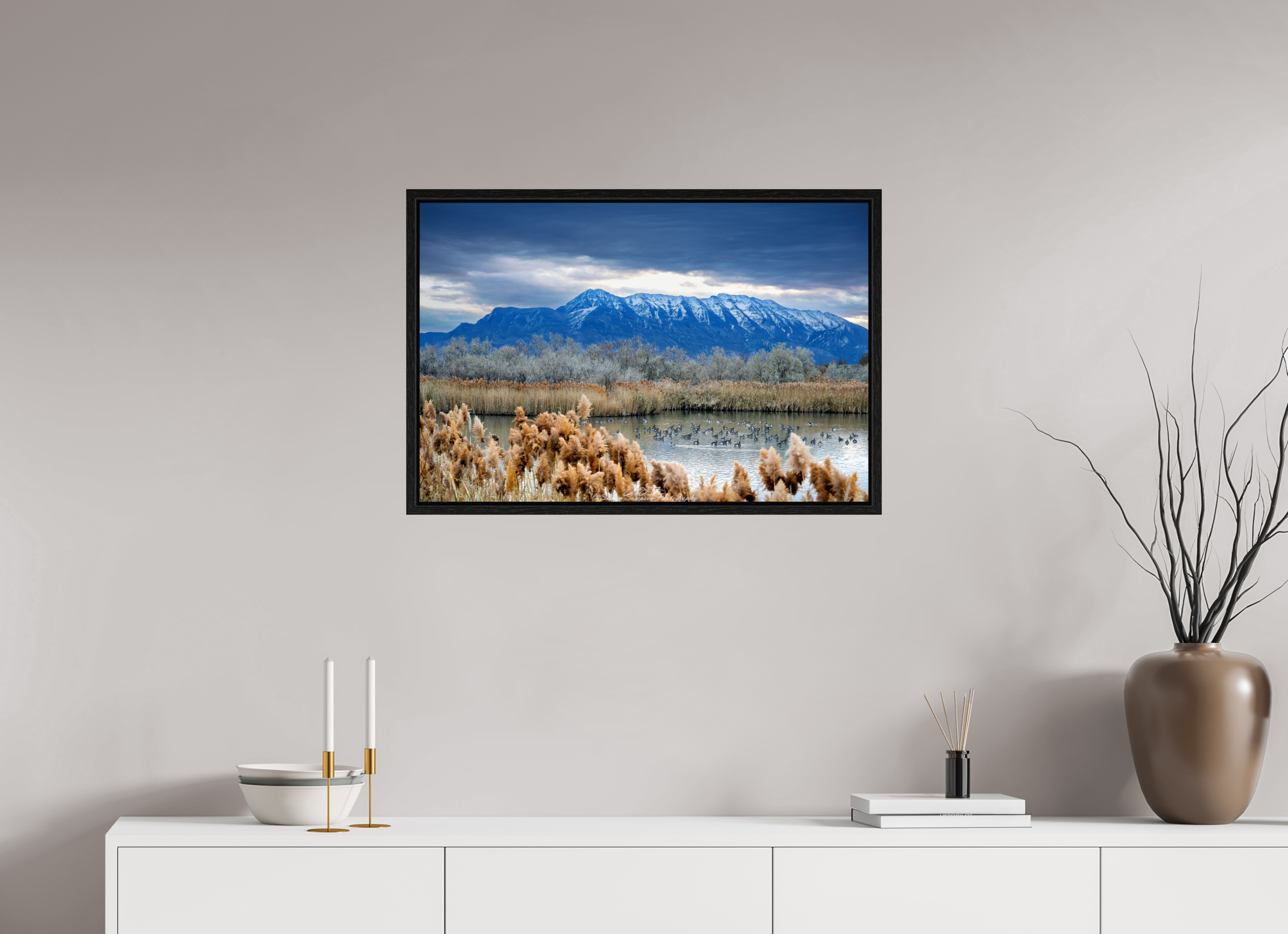 30 x 20″, Floater Frame Timp