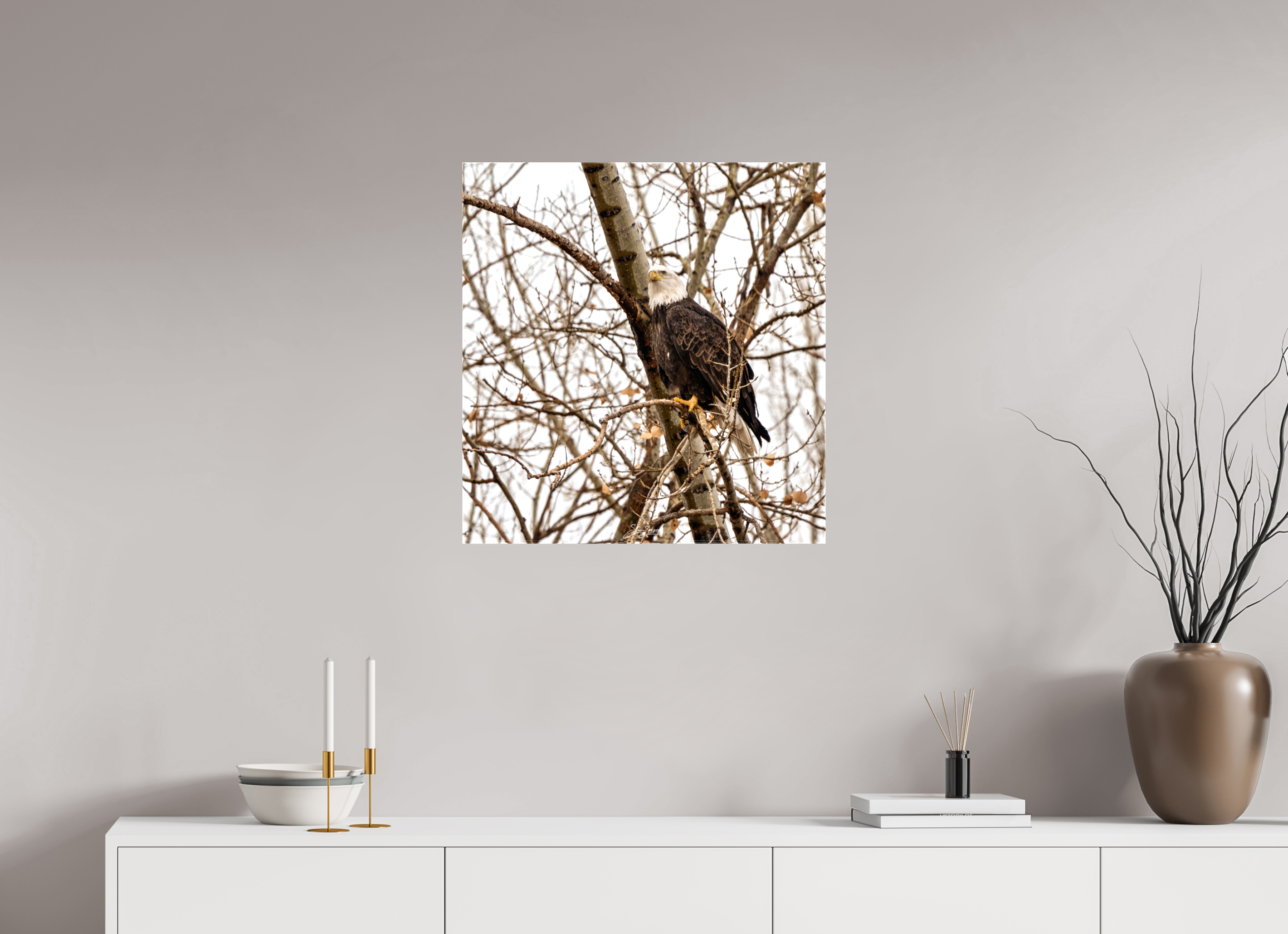 24 x 25.2″, Canvas Eagle