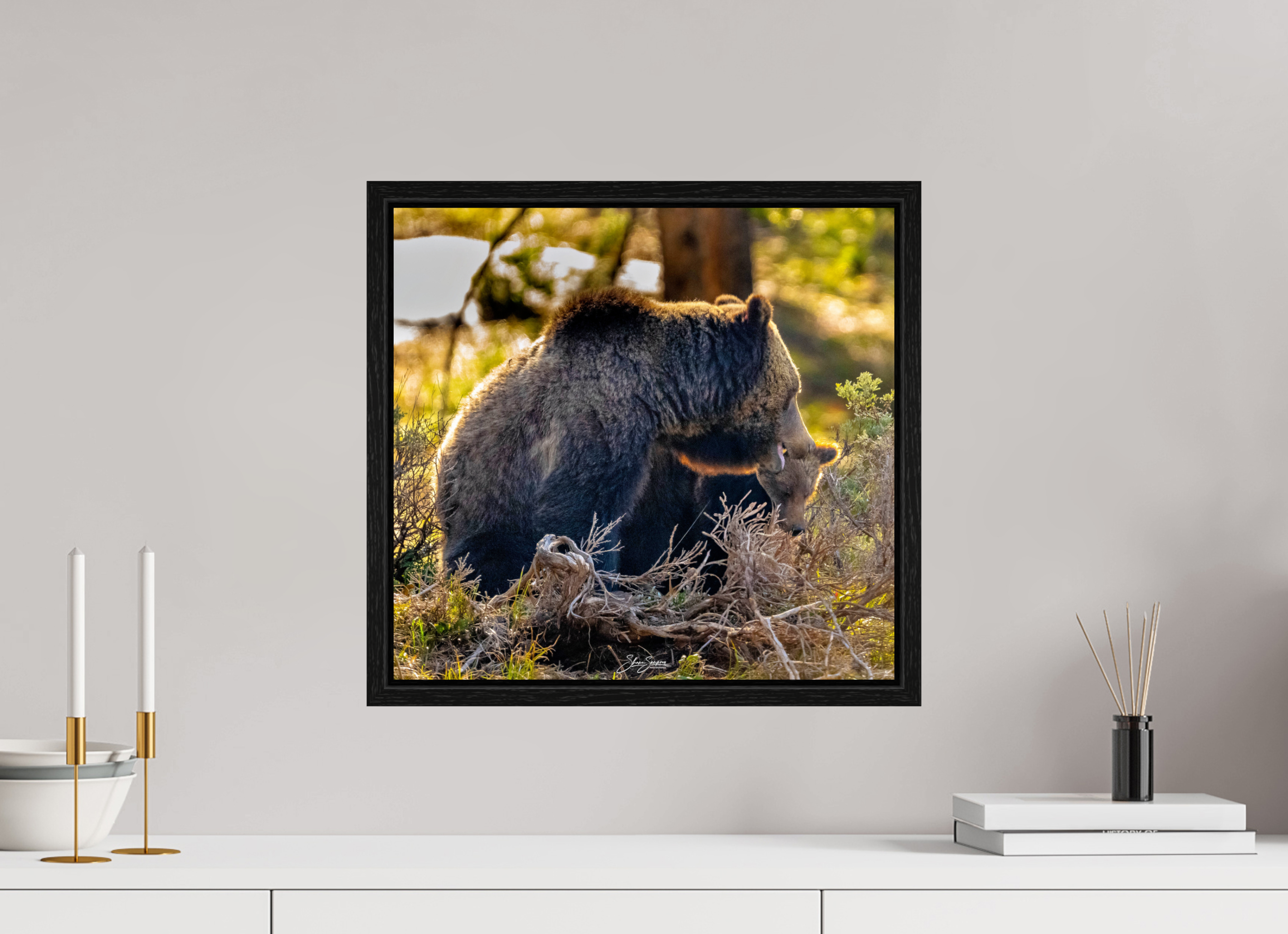 17 x 16″, Floater Frame 1063 and cub