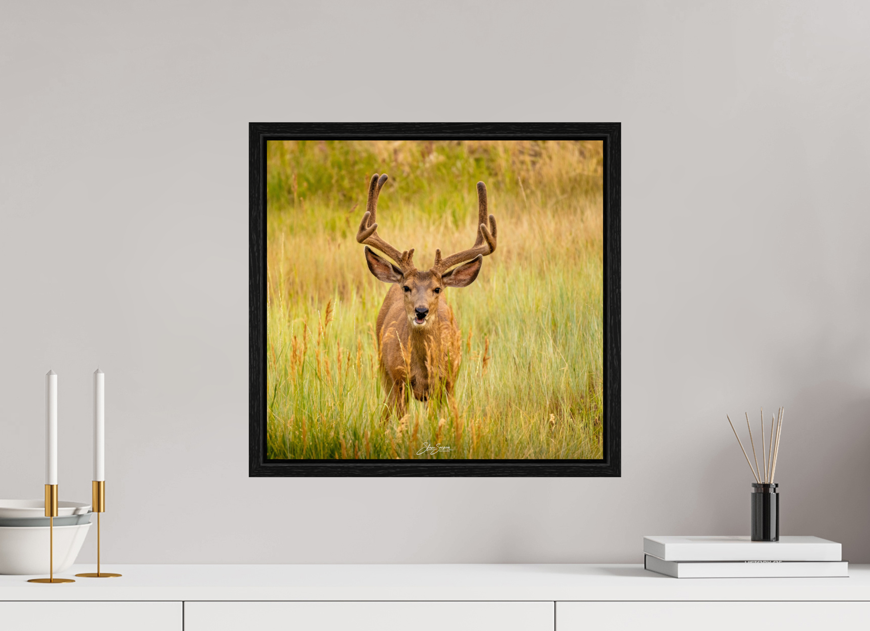 16.9 x 16″, Floater Frame Deer