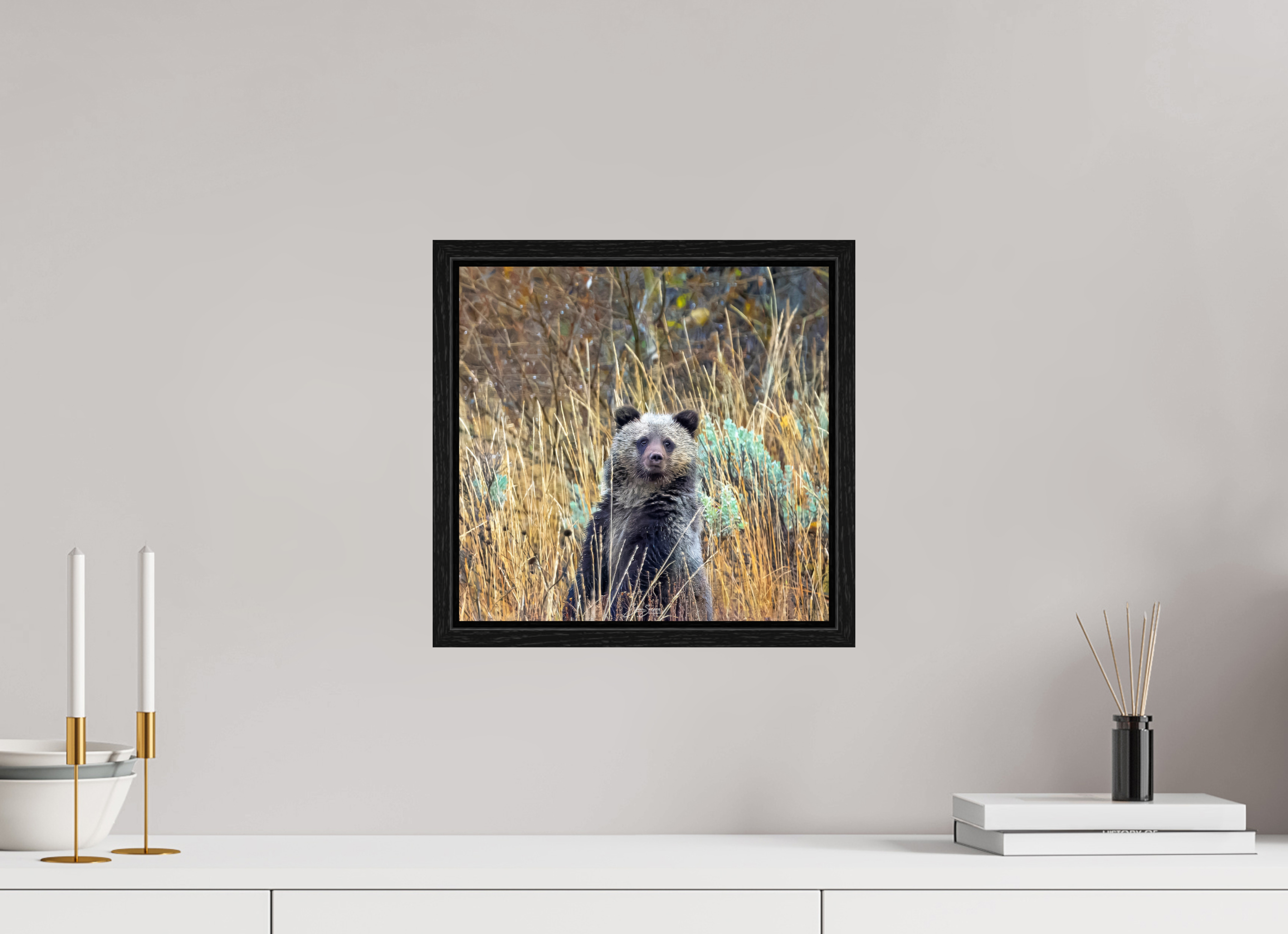 12.5 x 12″, Floater Frame Cube looking for mom