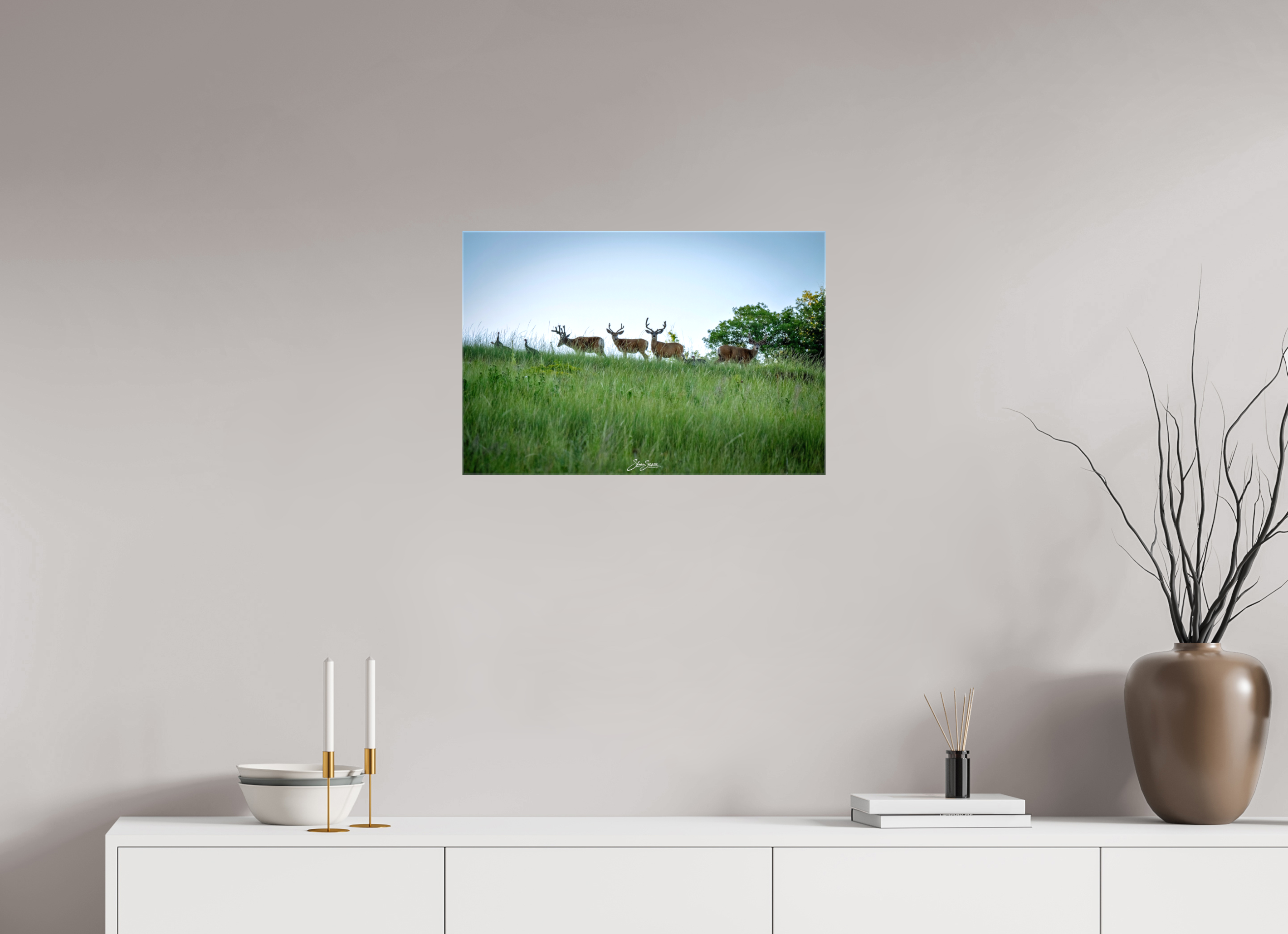 24 x 16″, Canvas Deer