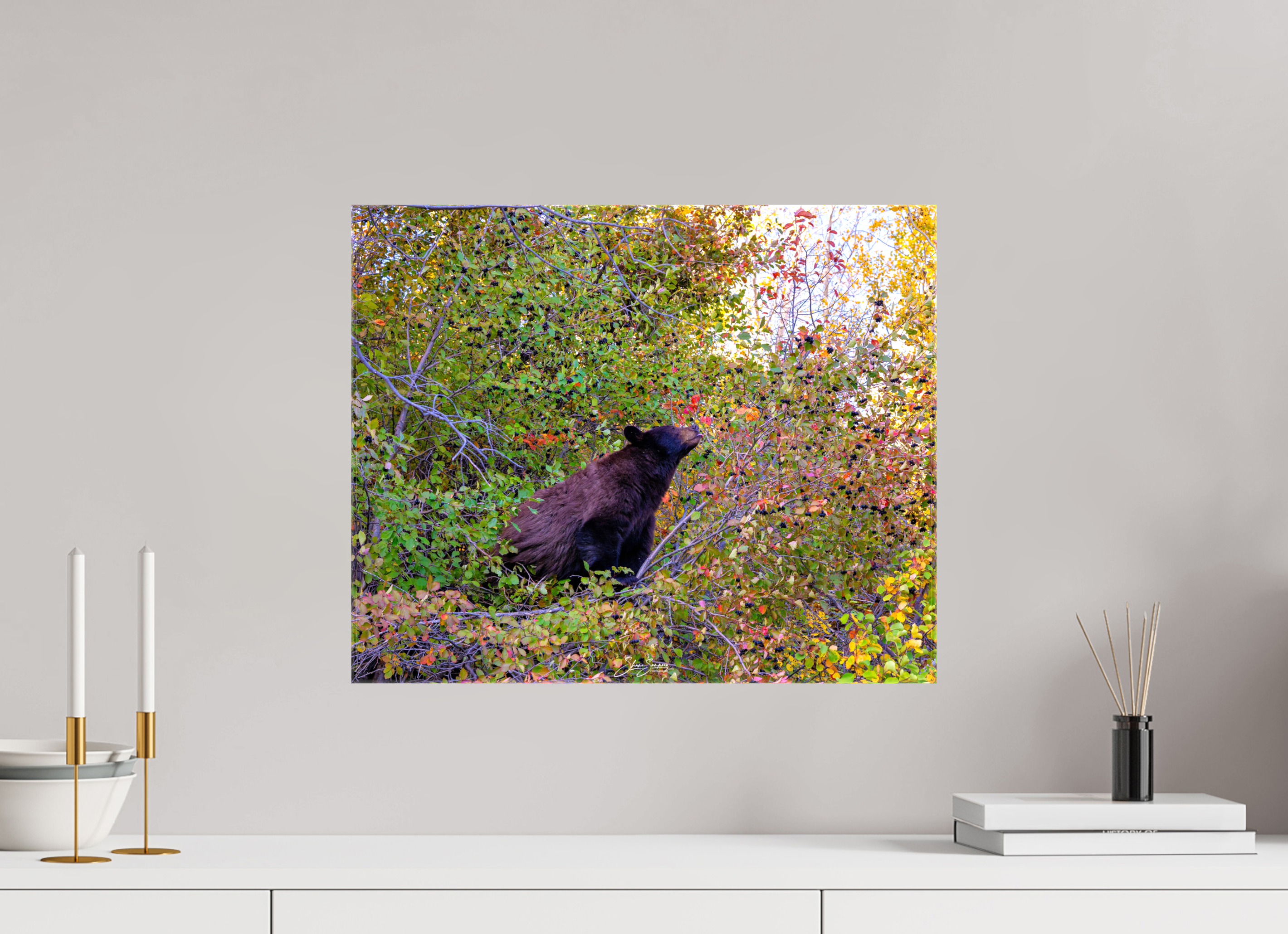 19.6 x 16″, Canvas B1