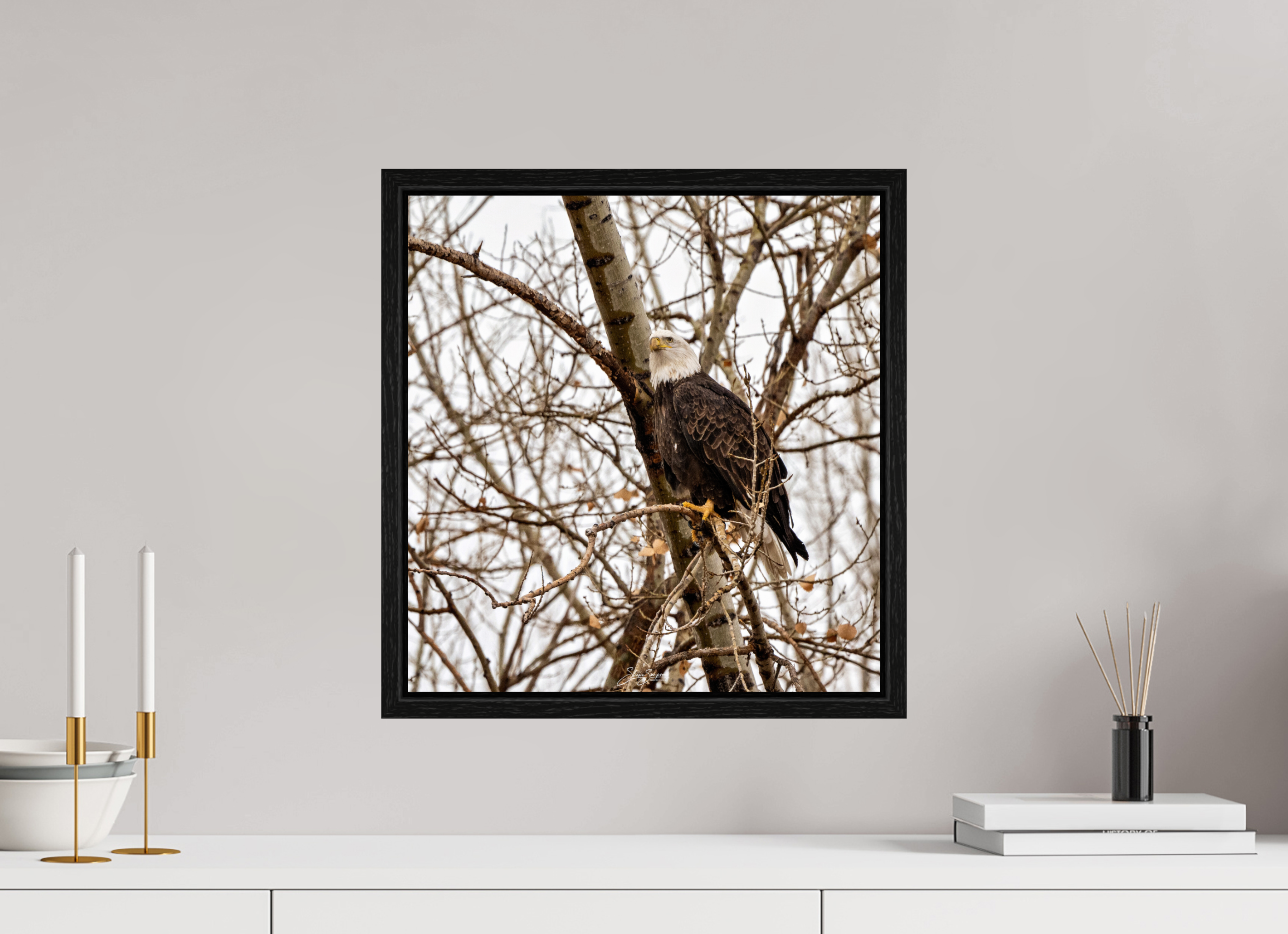 16 x 16.8″, Floater Frame Eagle