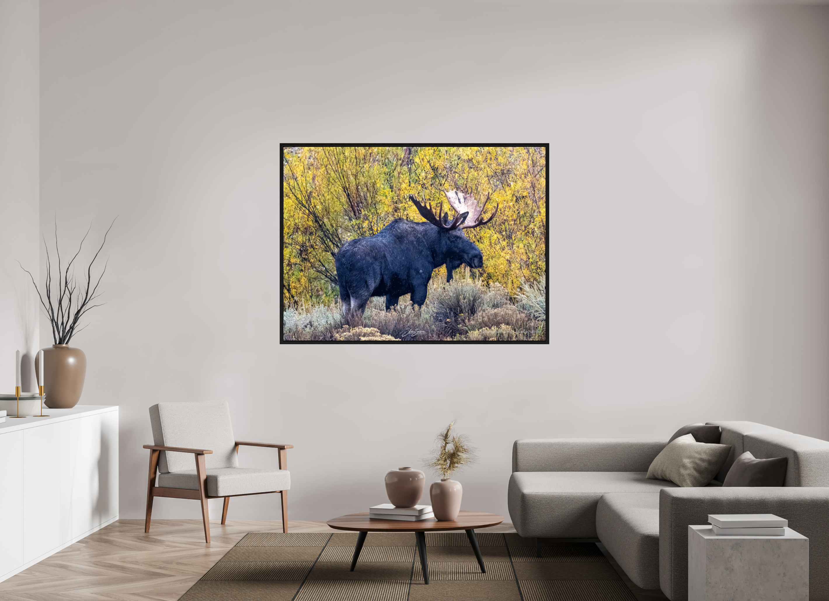 63.6 x 47″, Floater Frame Moose