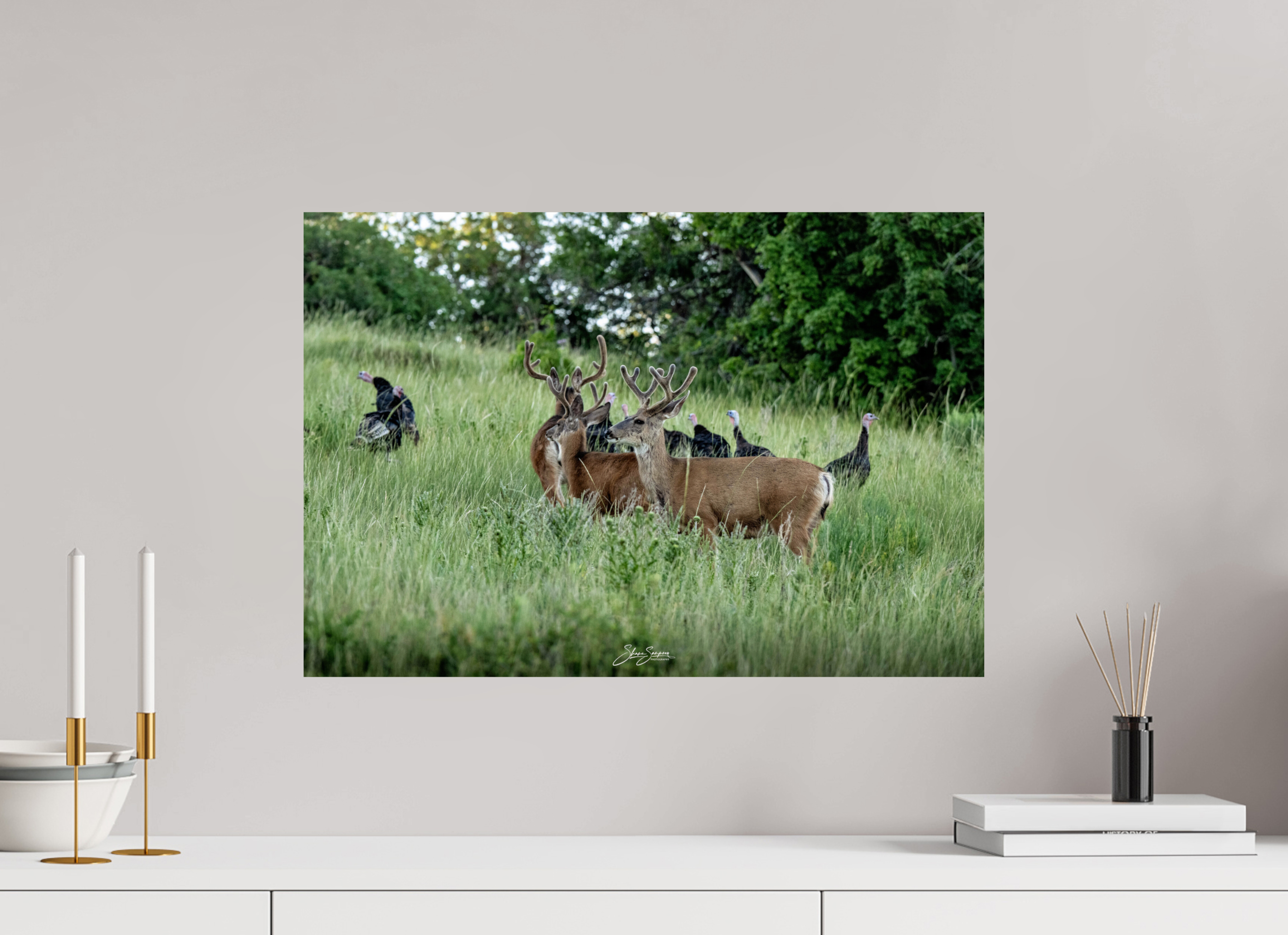 23.4 x 16″, Metal Turky Deer