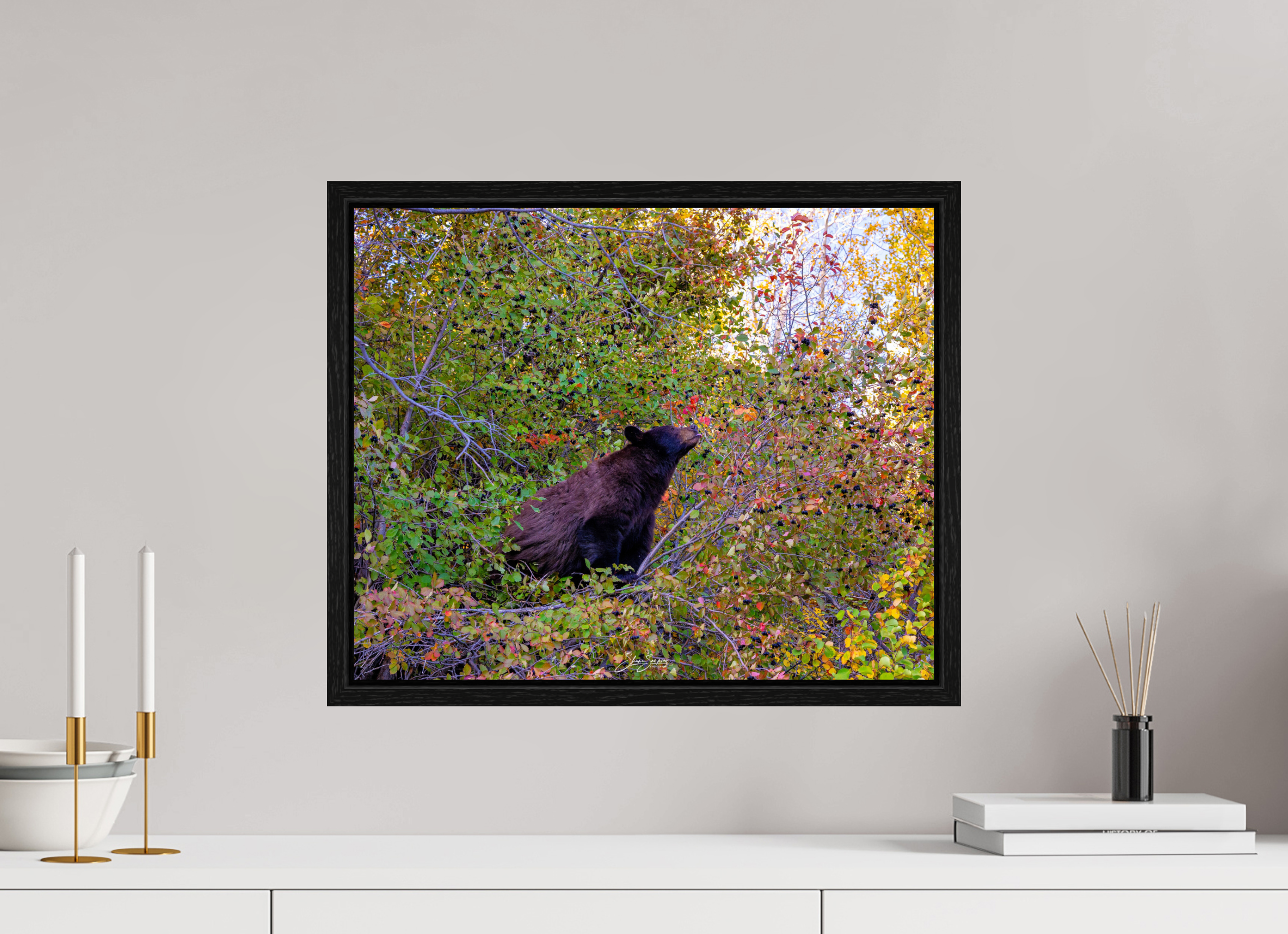 19.6 x 16″, Floater Frame B1