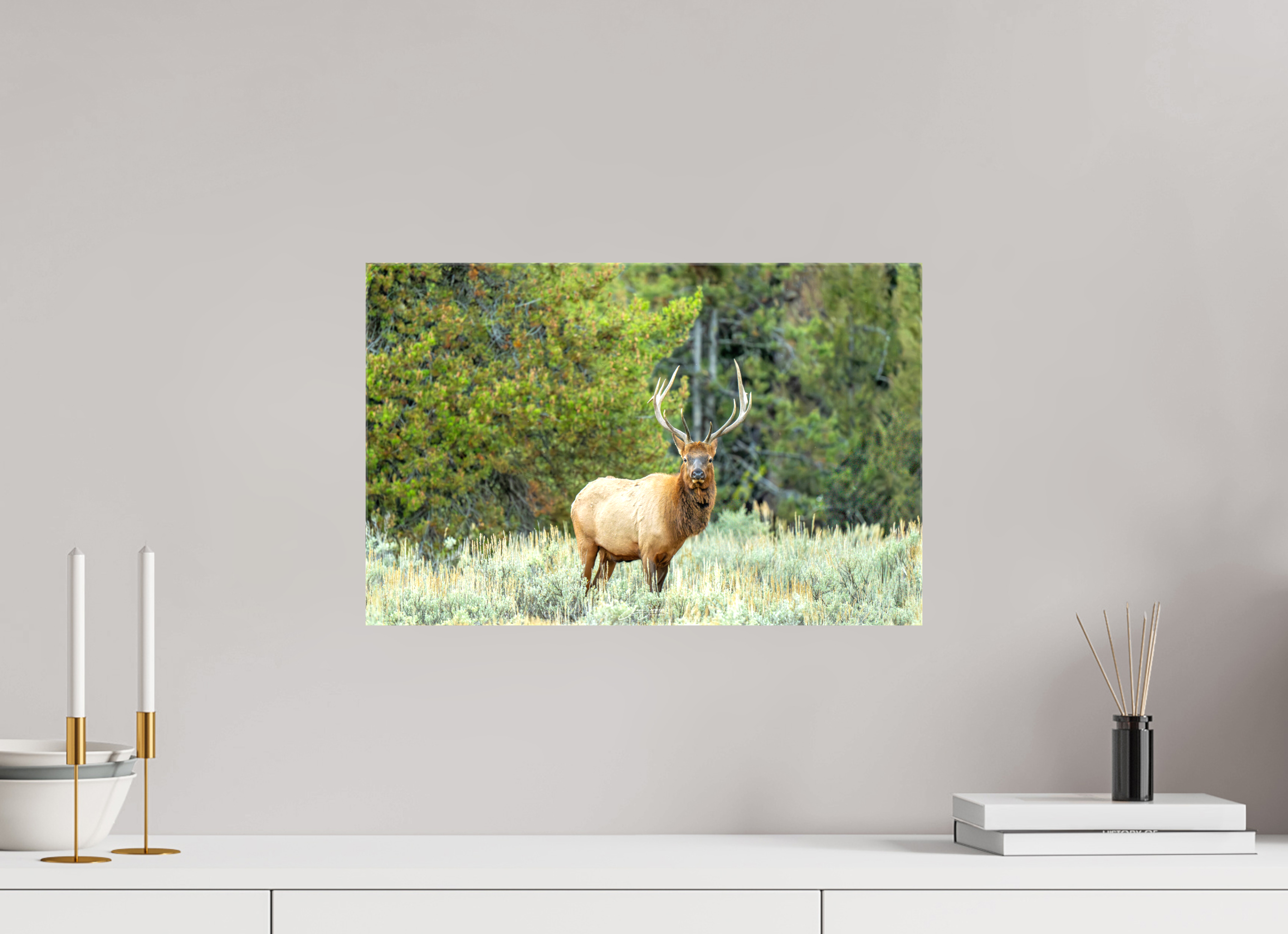 18.7 x 12″, Canvas Elk