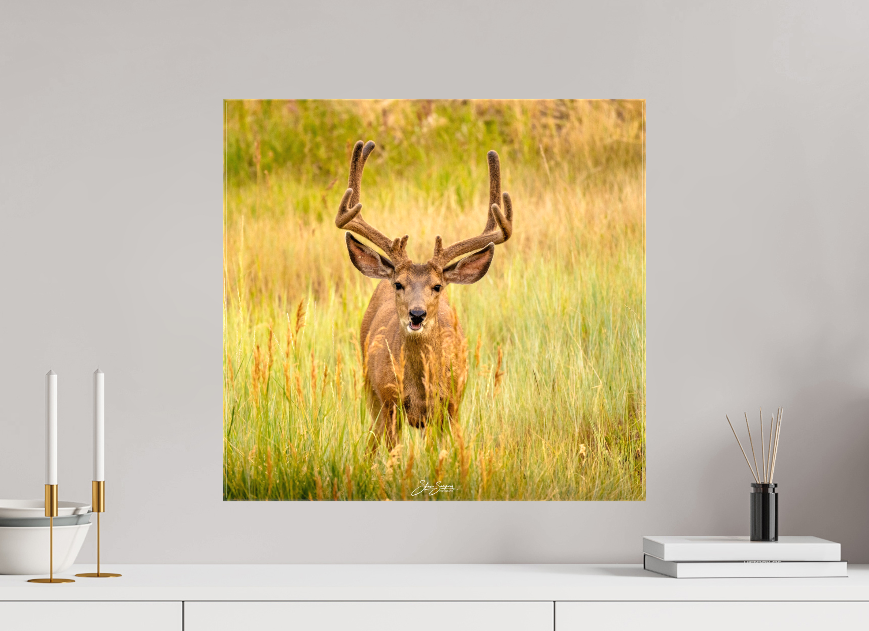 21.1 x 20″, Canvas Deer
