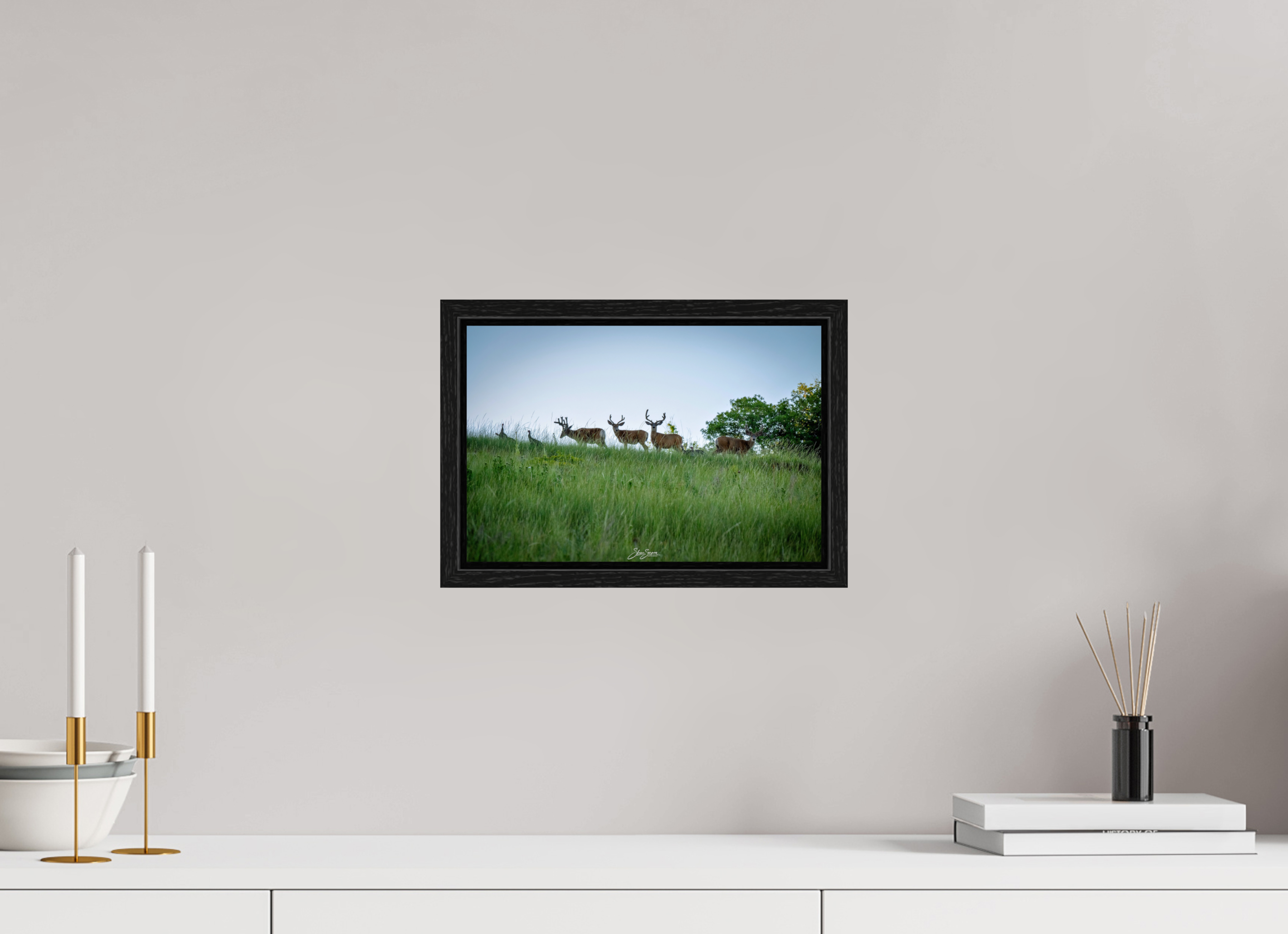 12 x 8″, Floater Frame Deer
