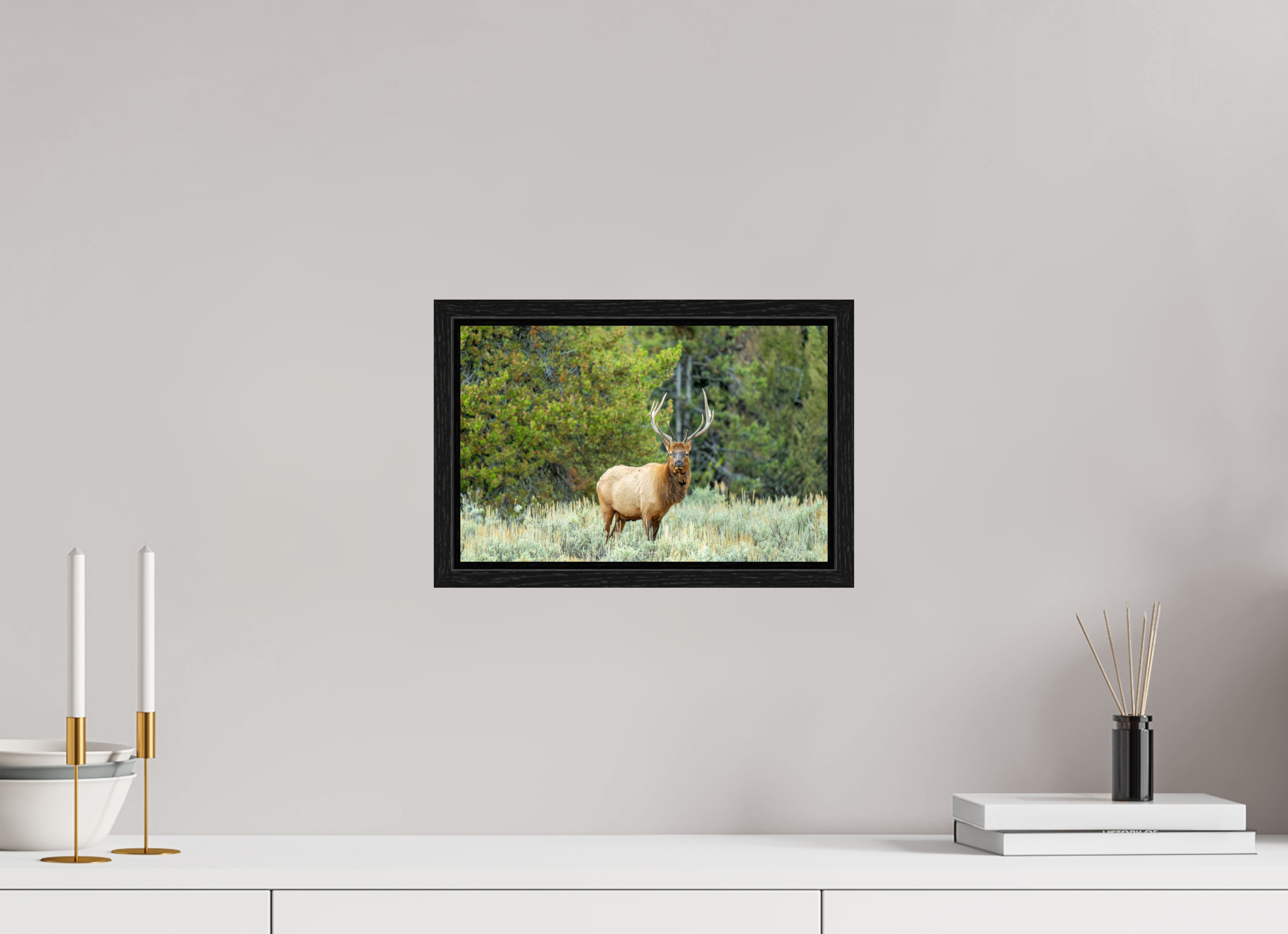12.4 x 8″, Floater Frame Elk