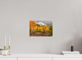 12 x 8″, Canvas Timp Fall Gold