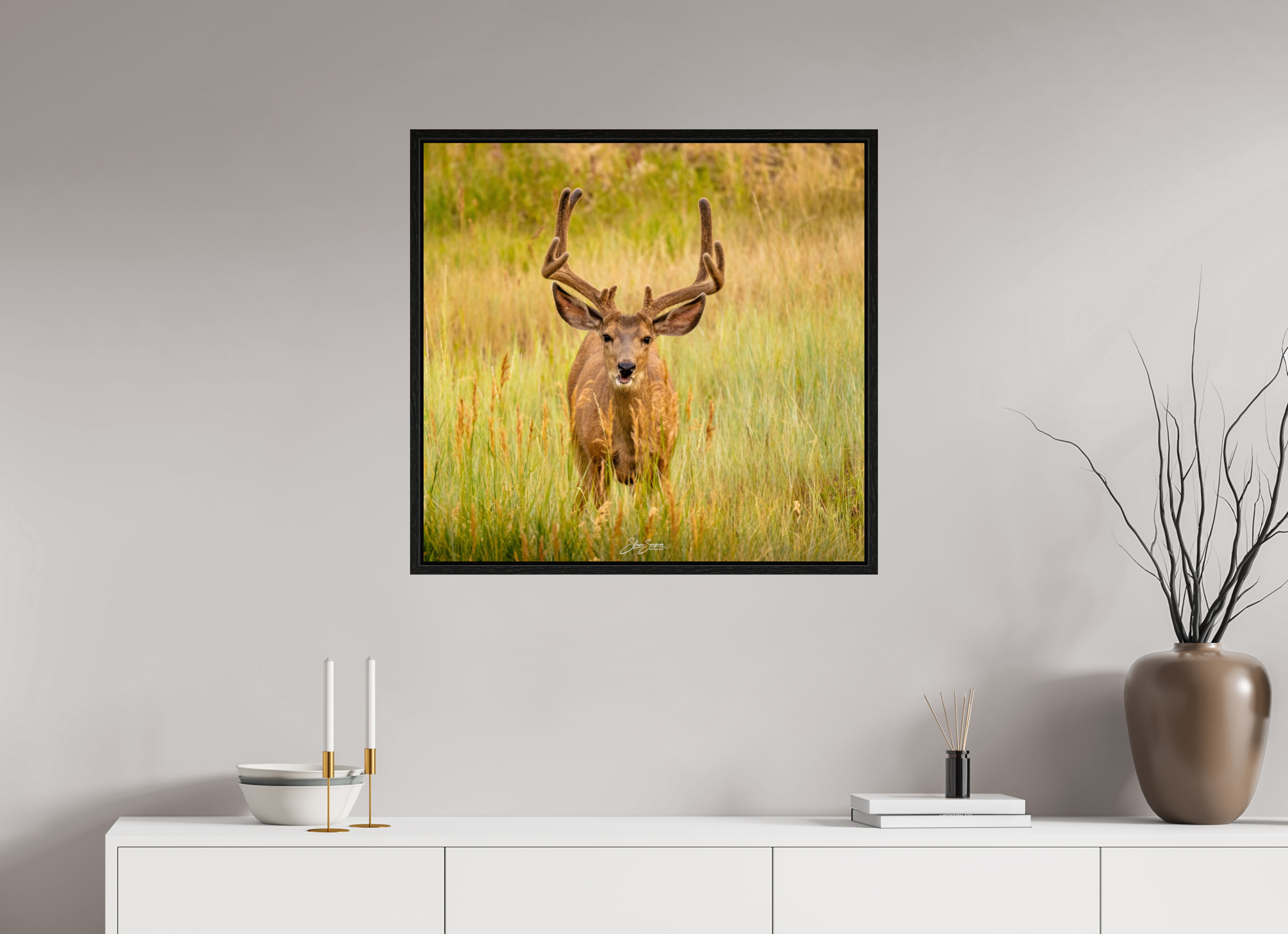 29.5 x 28″, Floater Frame Deer