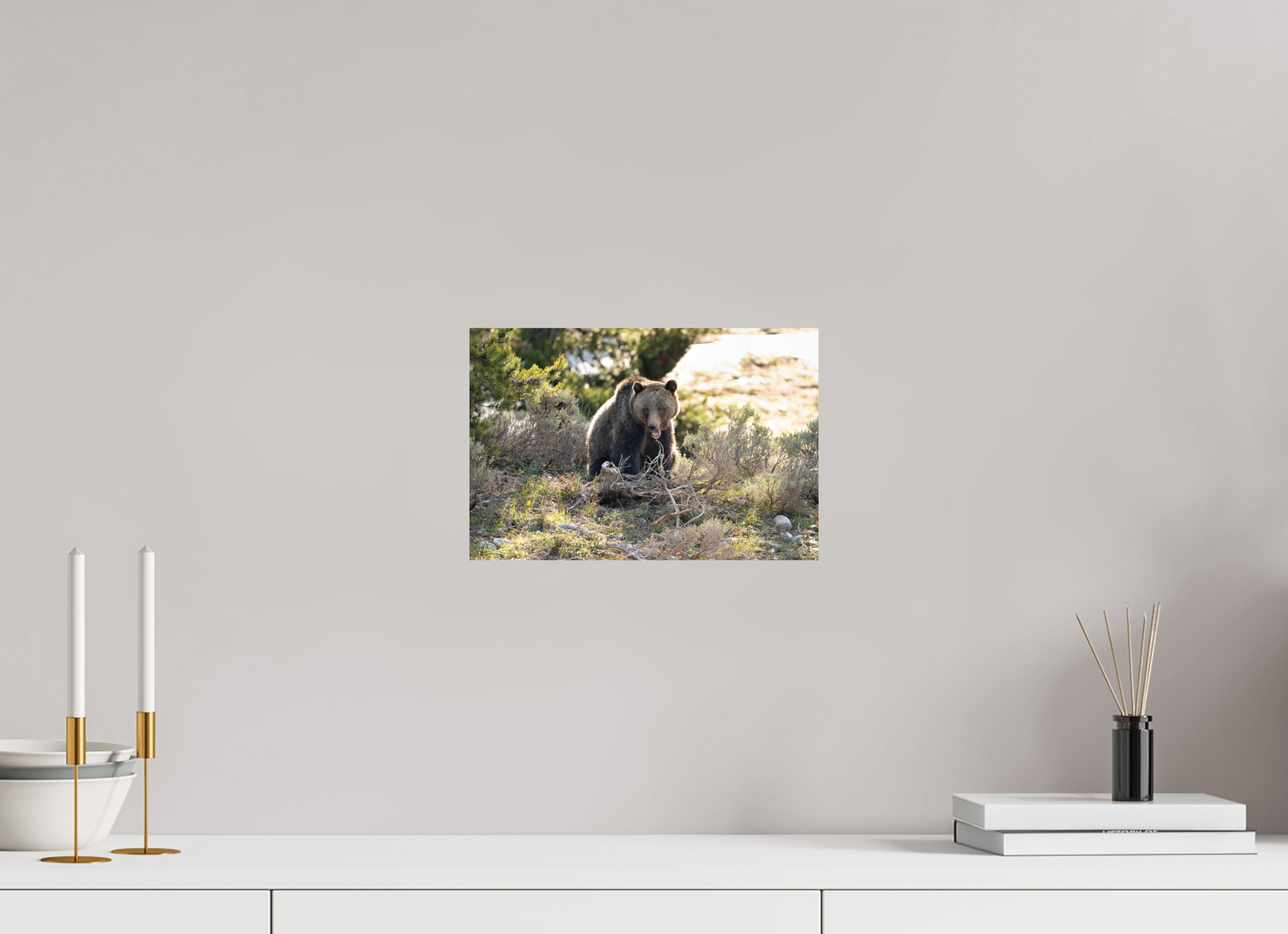 12 x 8″, Metal 1063