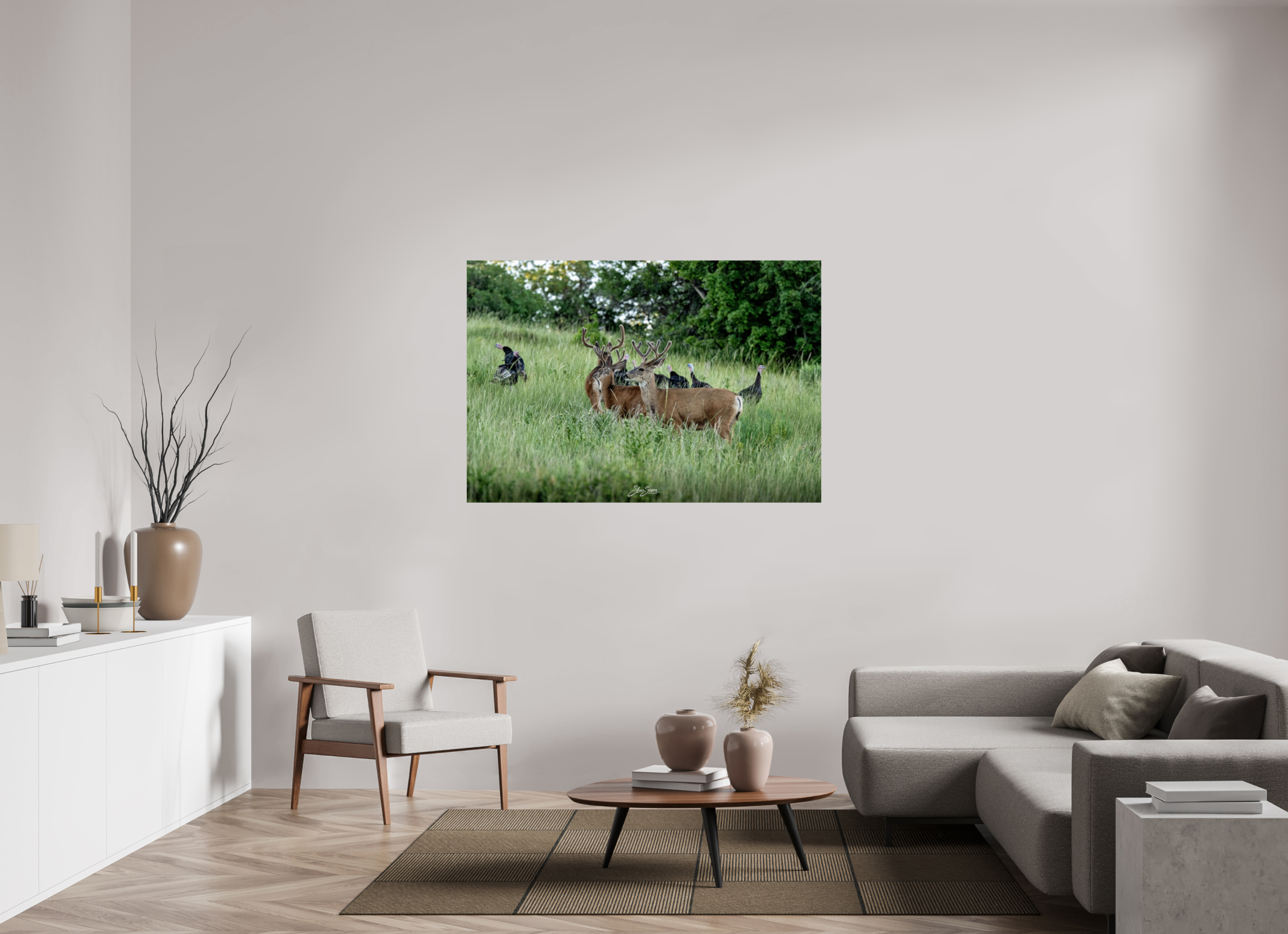 57.1 x 39″, Photo Print On Fuji Crystal DP II Turky Deer