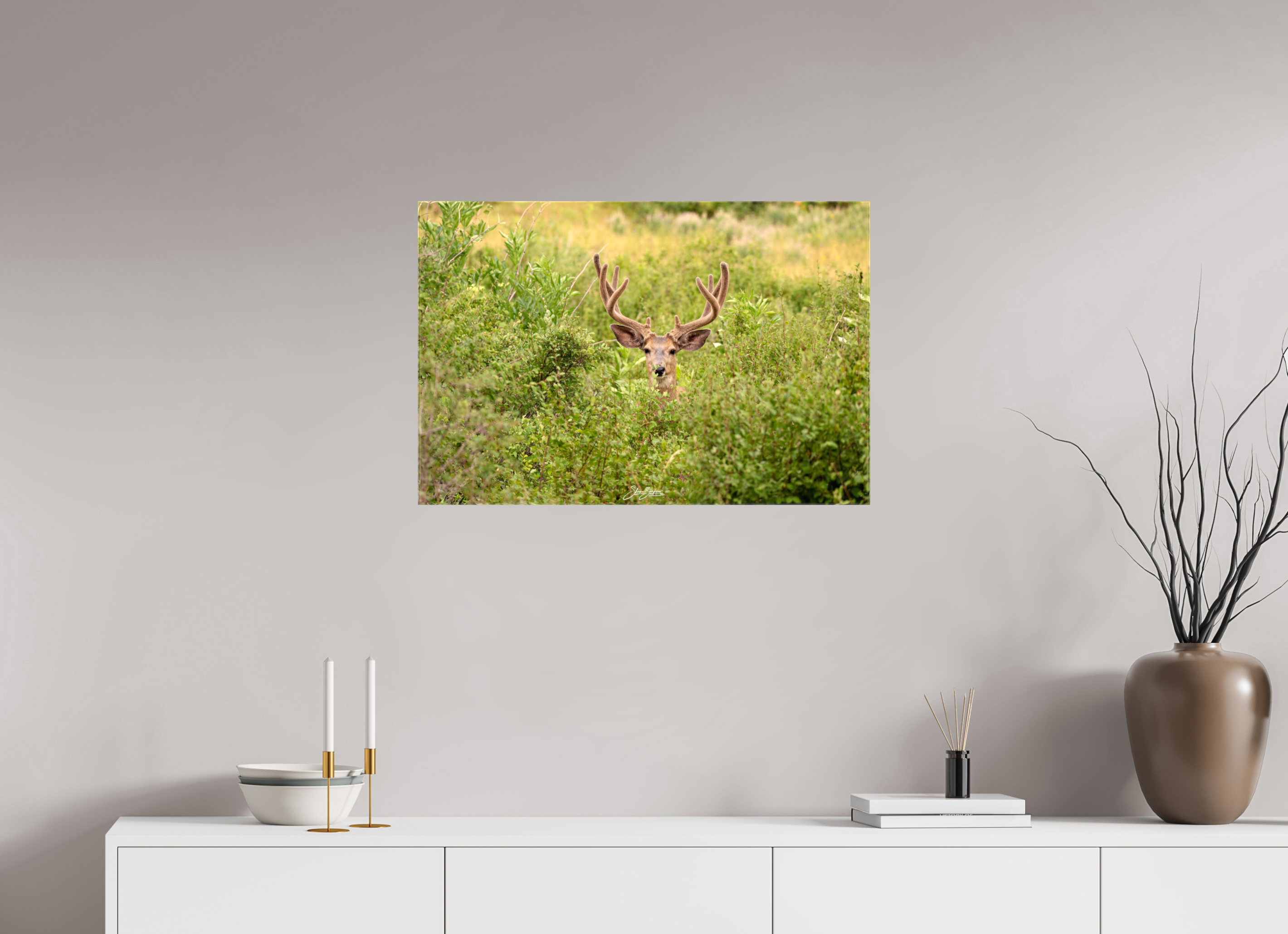 30 x 20″, Canvas Deer