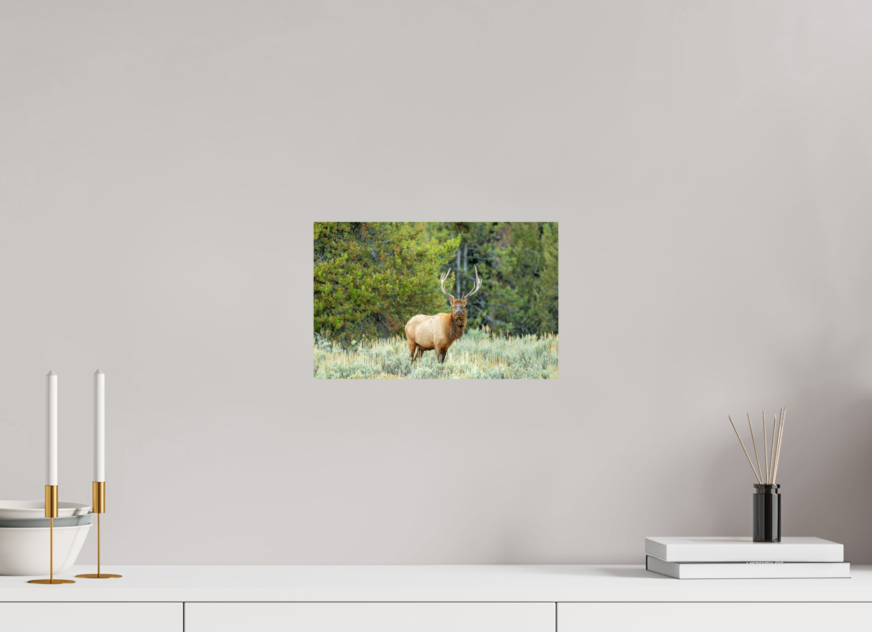 12.4 x 8″, Metal Elk